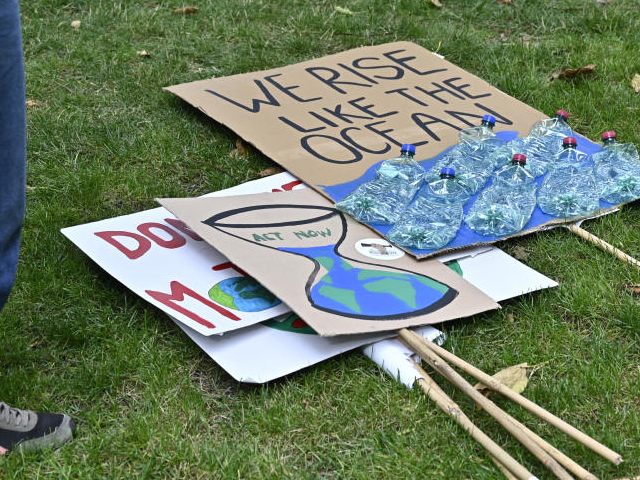 Beim weltweiten Klimastreik von Fridays For Future gingen auch in Wien tausende Menschen auf die Straße.