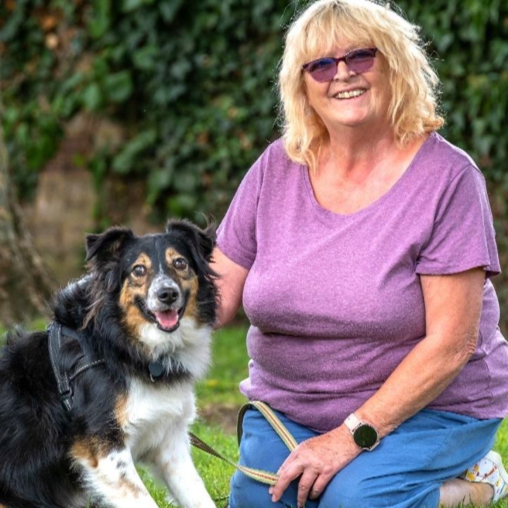 Hund Dave ist wohl seit Geburt an blind.