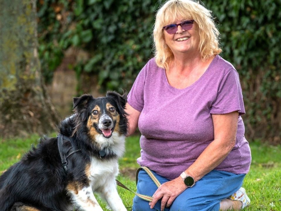 Hund Dave ist wohl seit Geburt an blind.