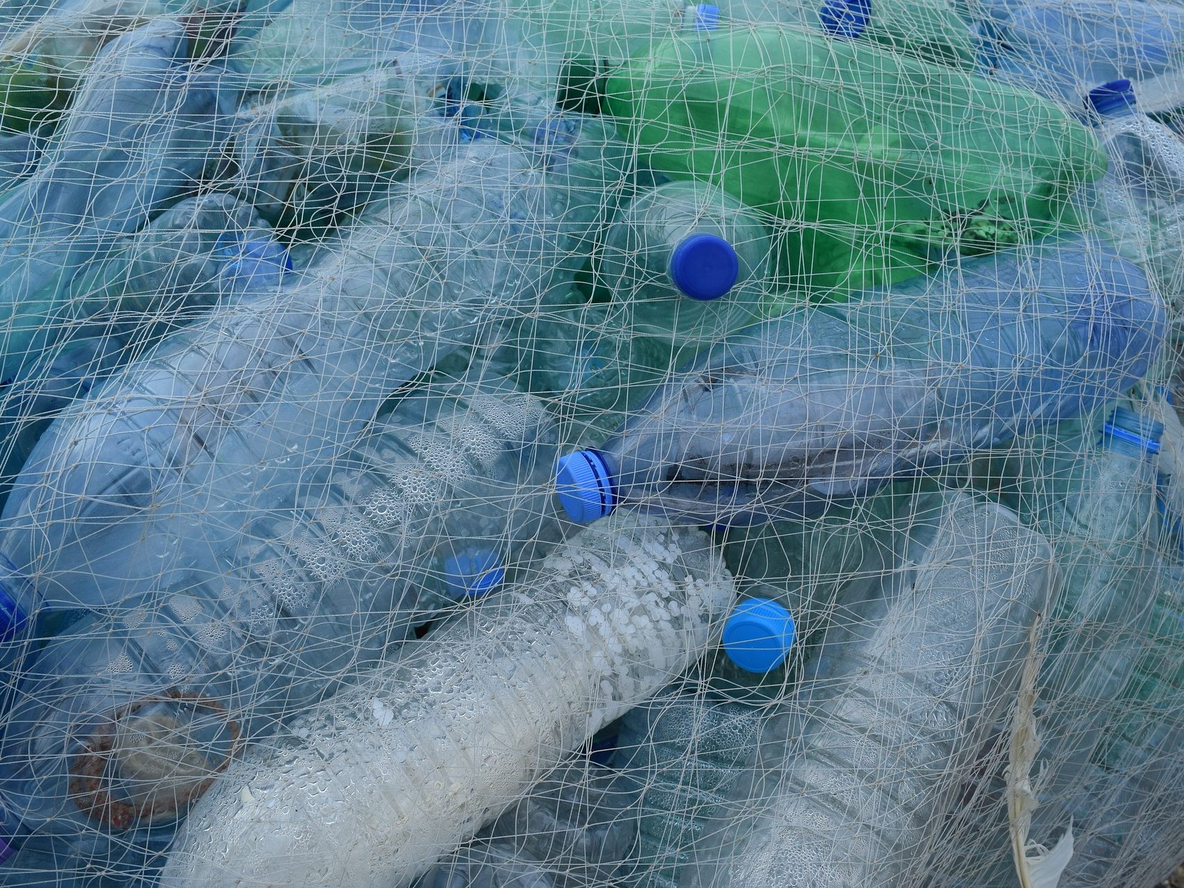Tonnenweise Plastikflaschen landen Jahr für Jahr in den Ozeanen - mit verheerenden Folgen für Mensch und Umwelt