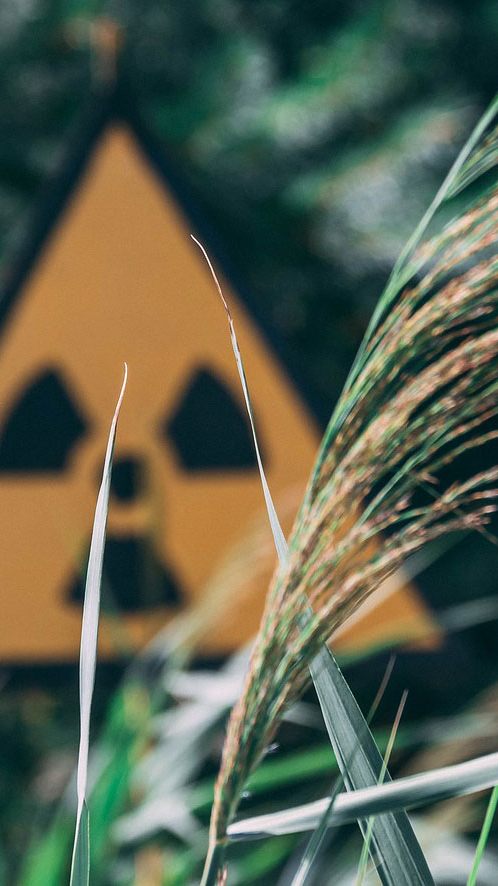 Radioaktivität gehört zu unserem Alltag - wie viel davon wo normal ist, erfahren Sie hier