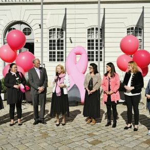 Das Anbringen der "Pink Ribbon" am Parlament in Wien ist der Startschuss für die Aktion im Jahr 2021.