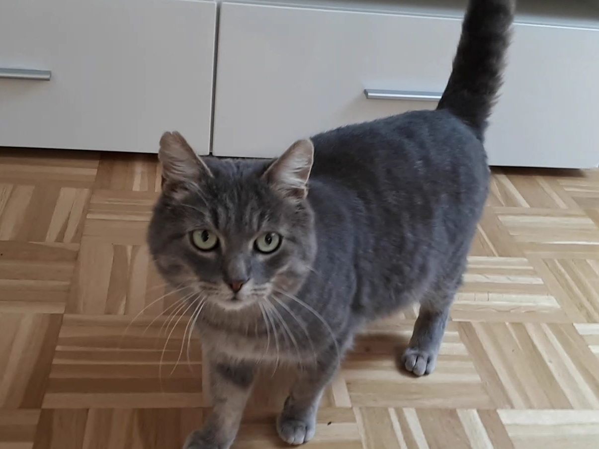 WER VERMISST MICH?
