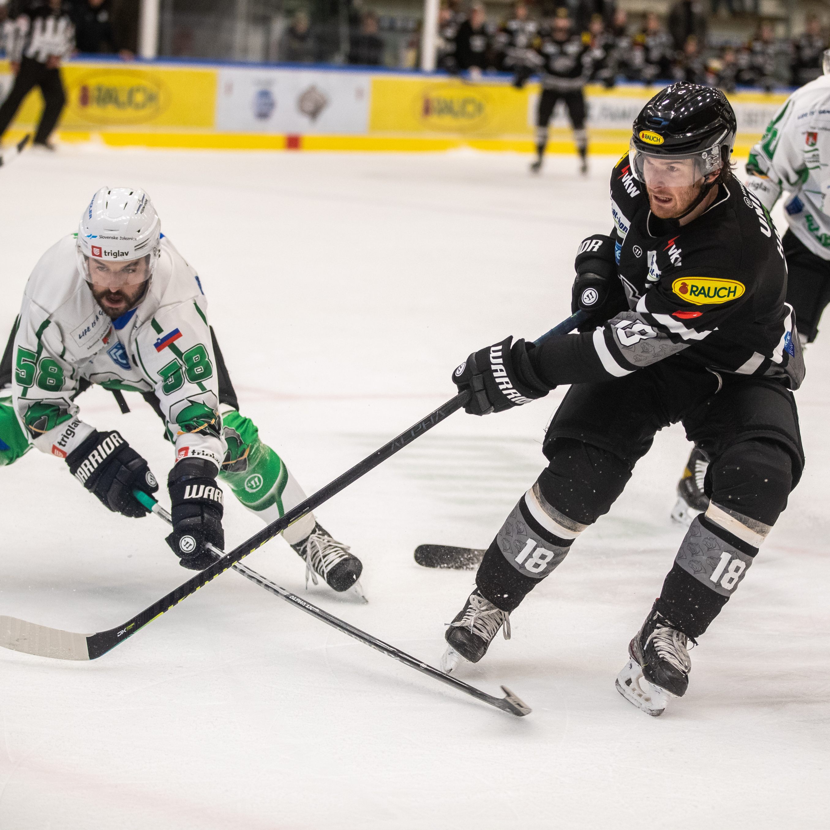 Die Bulldog müssen erneute Heimpleite erfahren.
