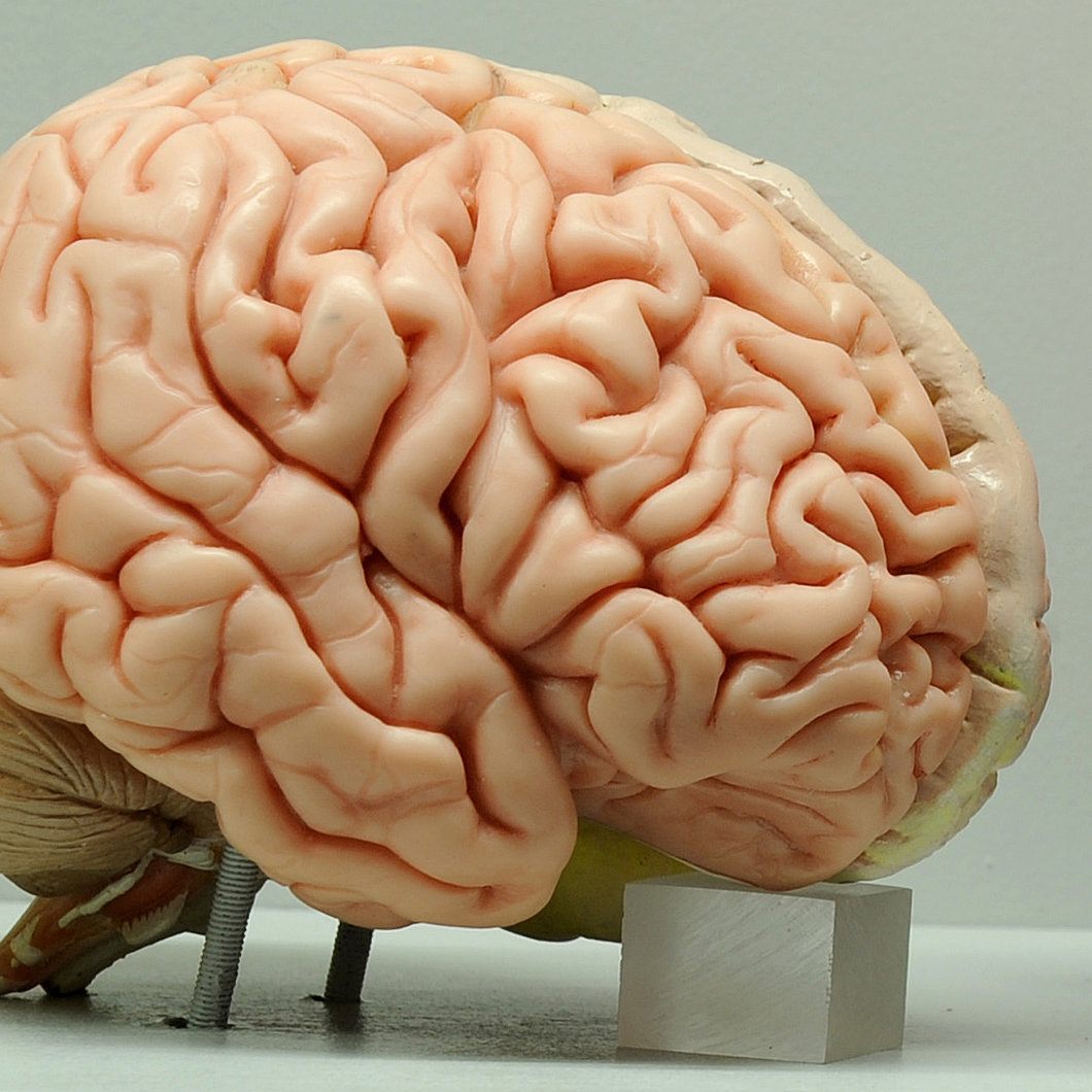 Der Wiener Psychologe jakob Pietschnig räumt in seinem Buch "Intelligenz" mit gängigen Mythen zu dem Thema auf.