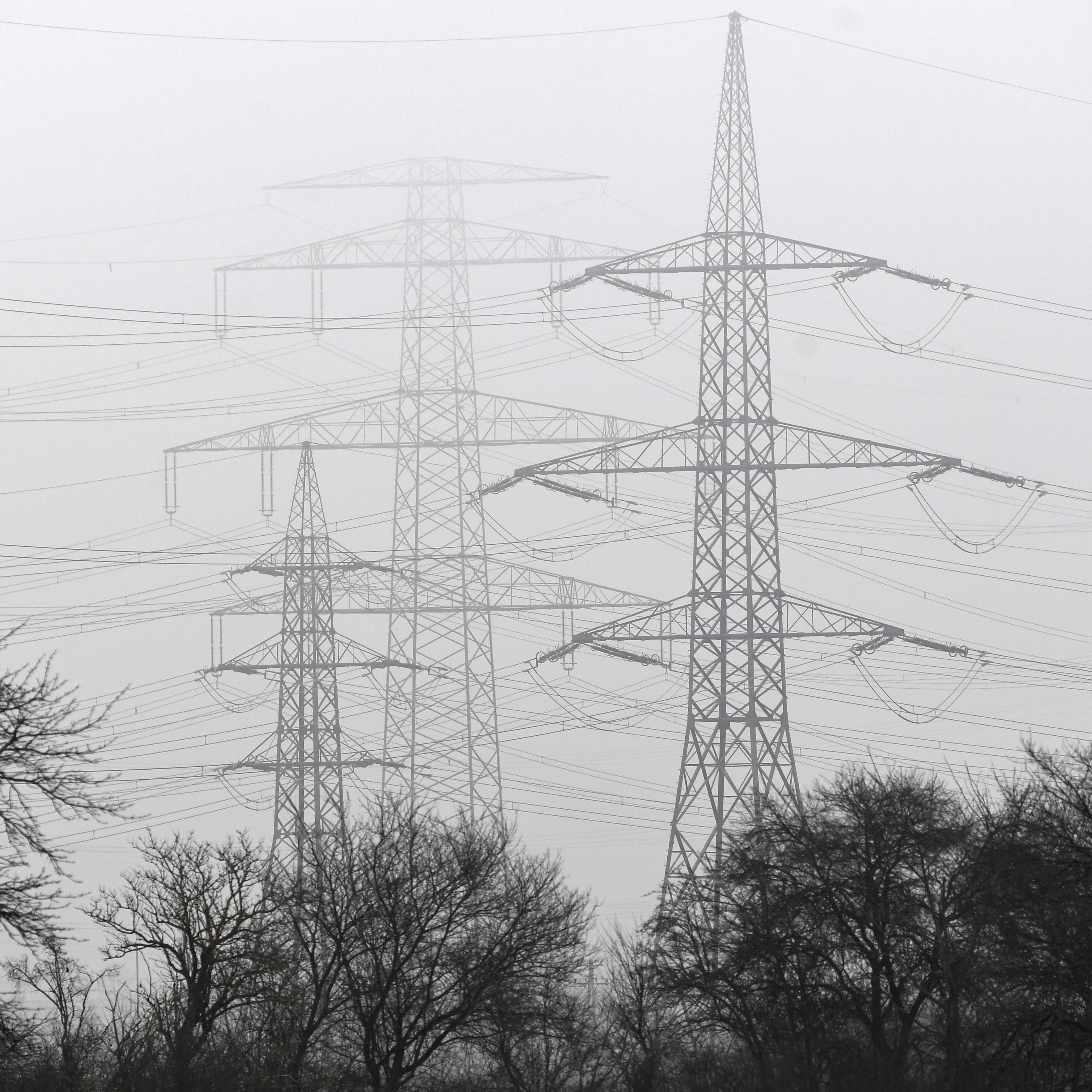 Zahlreiche Stromanbieter wurden unter die Lupe genommen.