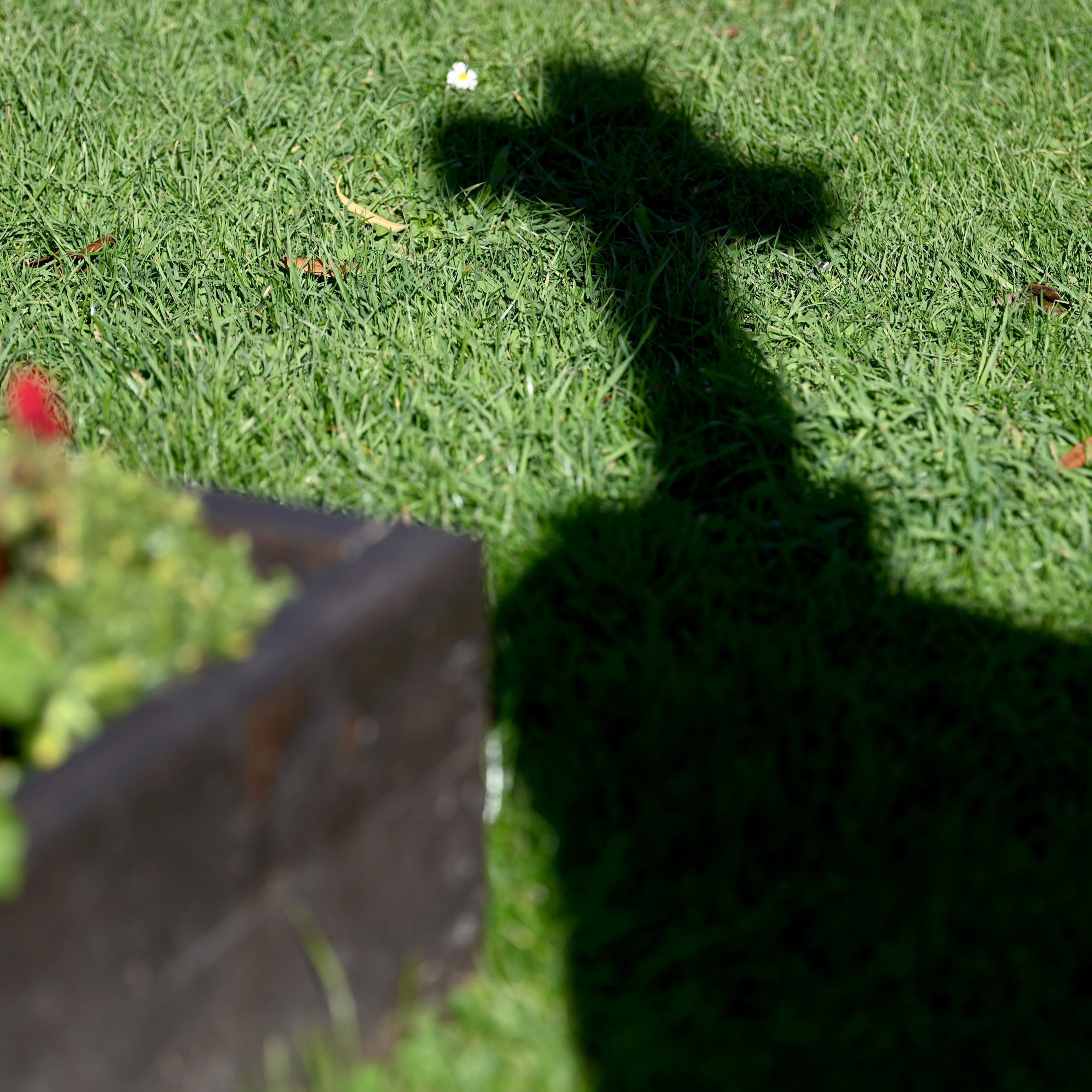 Gesetzliche Neuregelung der Sterbehilfe: Die Regierung ist zu einer Einigung gekommen.