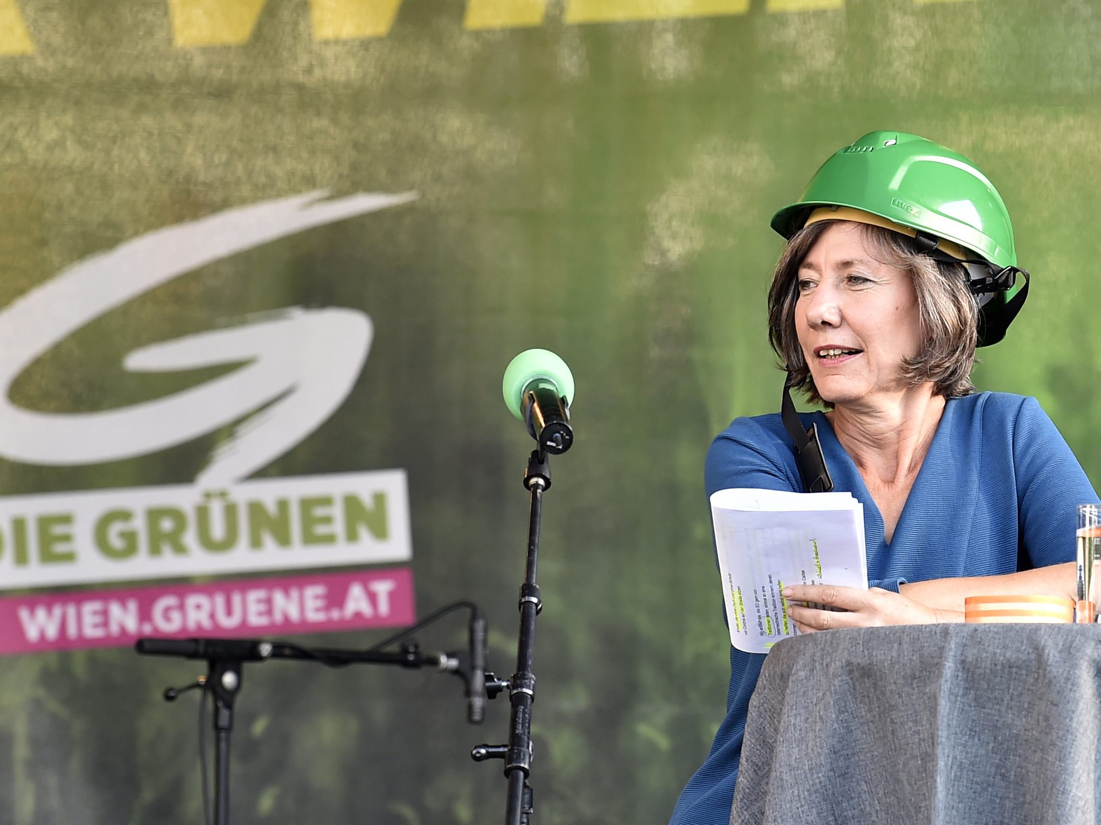 Nach dem Rücktritt von Birgit Hebein wählen die Wiener Grünen am Samstag ihre neue Parteispitze. Nach dem Rücktritt von Birgit Hebein wählen die Wiener Grünen am Samstag ihre neue Parteispitze.