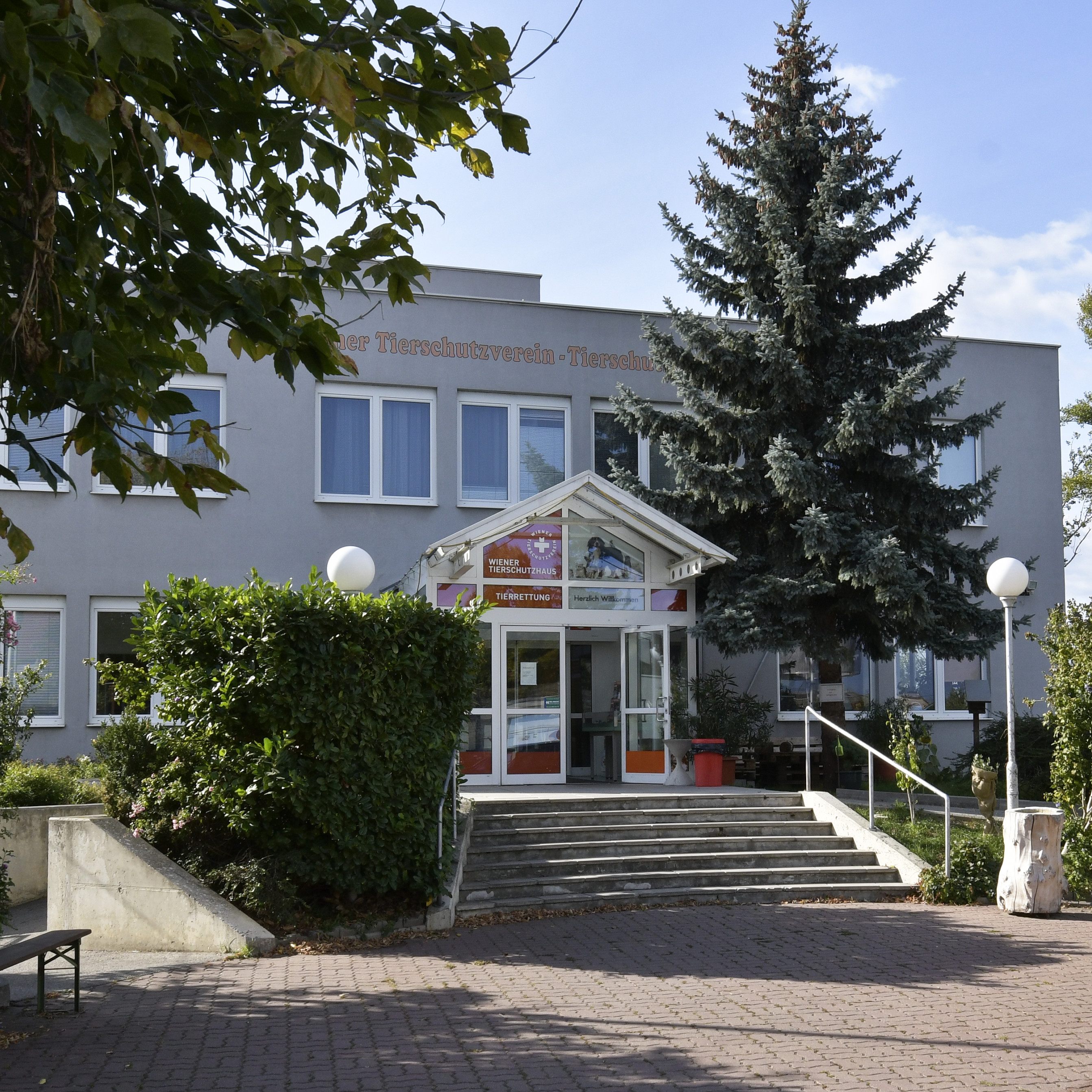 Der Wiener Tierschutzverein, welcher ein Tierschutzhaus in Vösendorf betreibt, feiert sein 175-jähriges Bestehen.