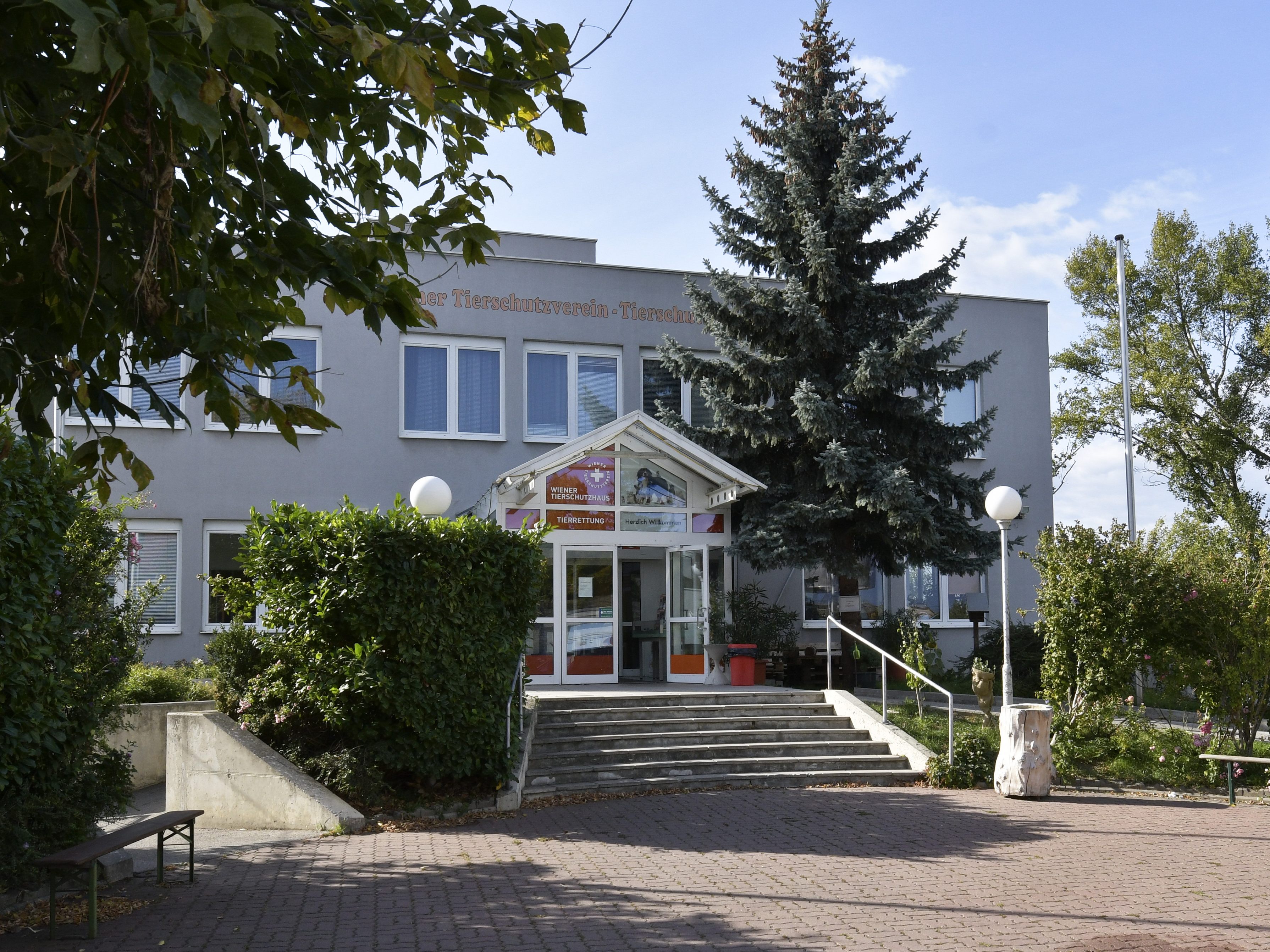 Der Wiener Tierschutzverein, welcher ein Tierschutzhaus in Vösendorf betreibt, feiert sein 175-jähriges Bestehen.