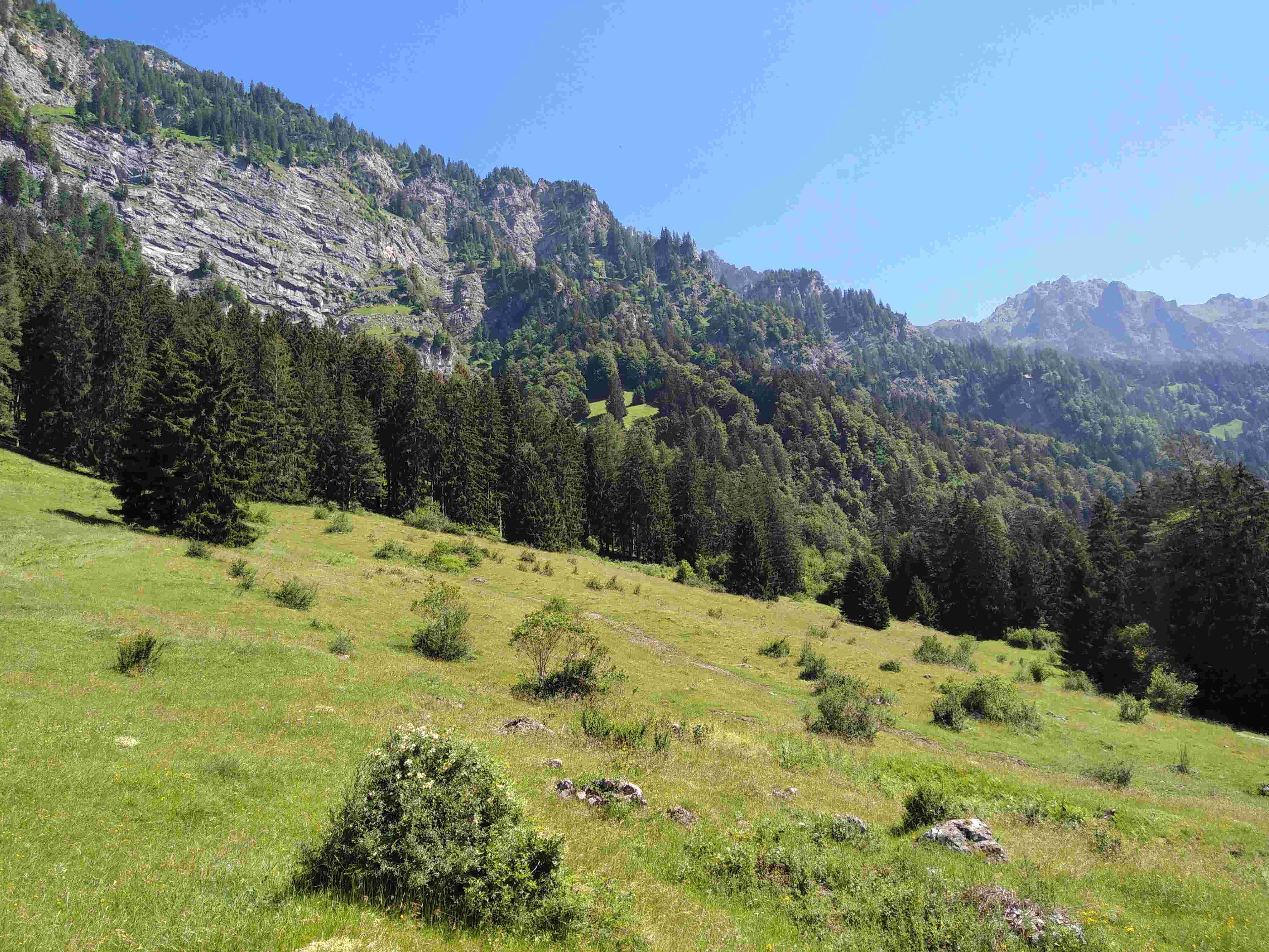 Brazer Allmein - Brazer Allmein -