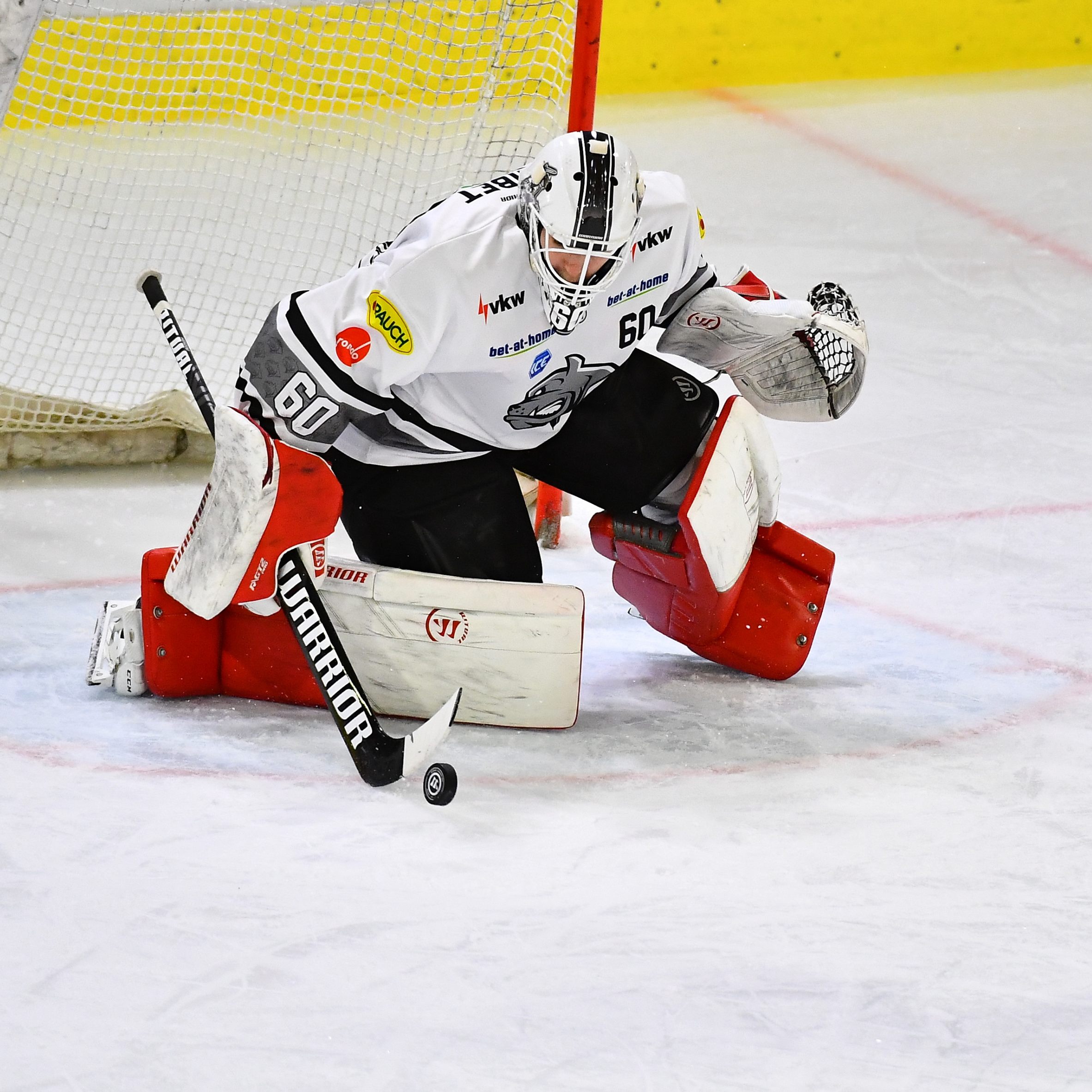 Auch Herzog konnte die Niederlage gegen die Haie nicht verhindern.