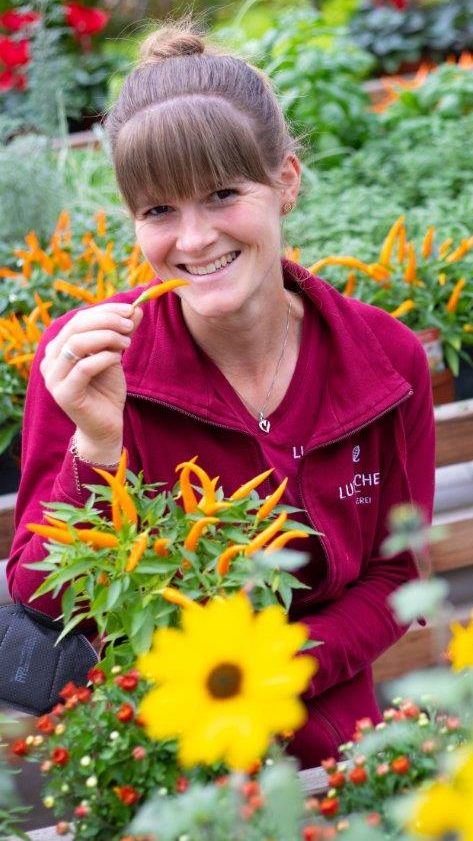 Blumen sorgen auch für farbige Akzente, wenn draußen die Blätter fallen.