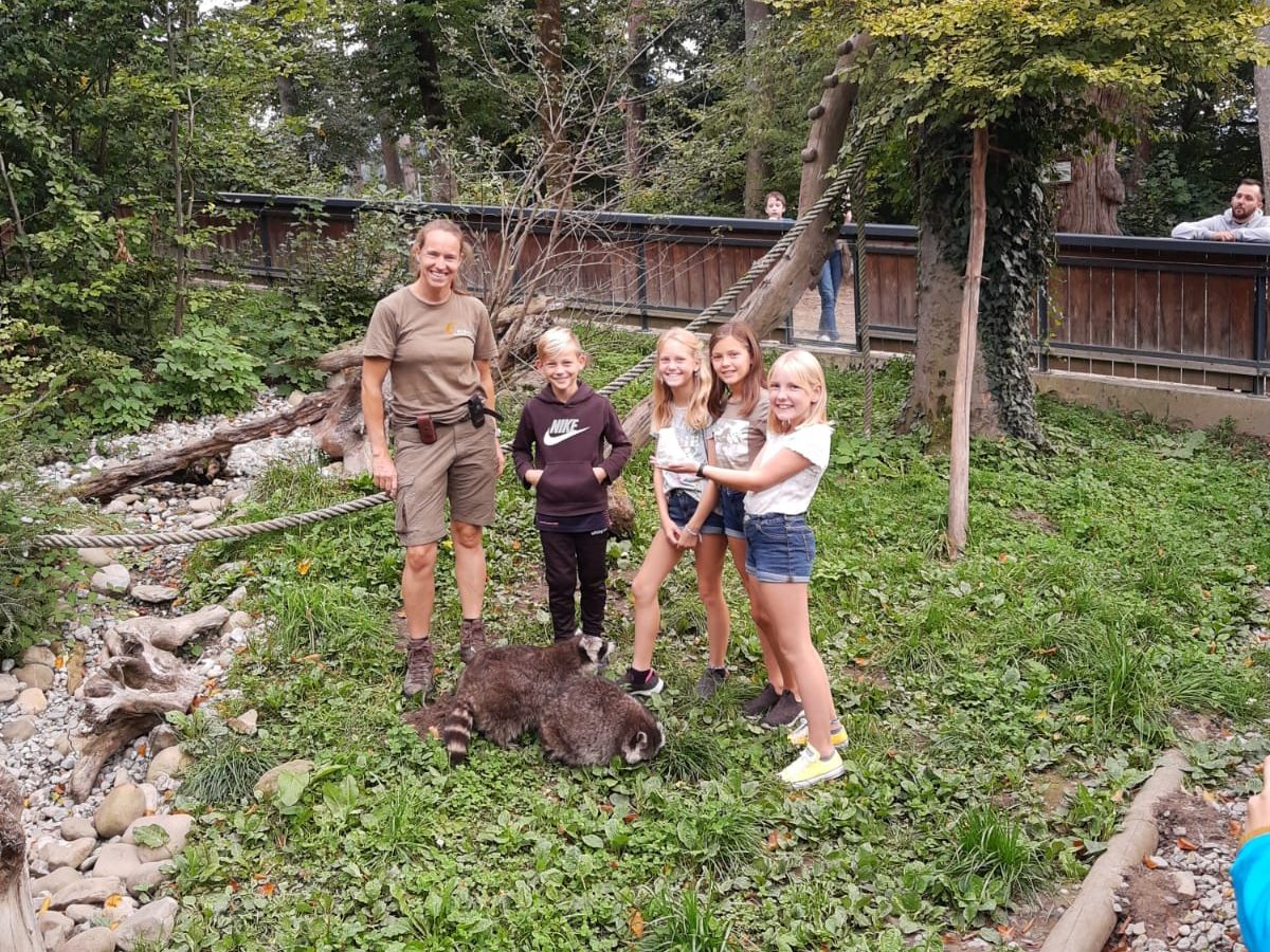 Kinder bei den Waschbären