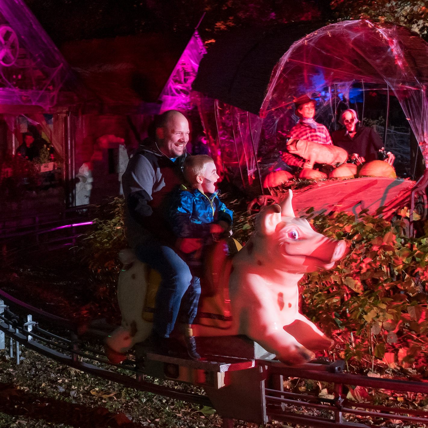 Halloween im Familypark: Die Schweinchenbahn lädt zur gruseligen Fahrt zu Halloween