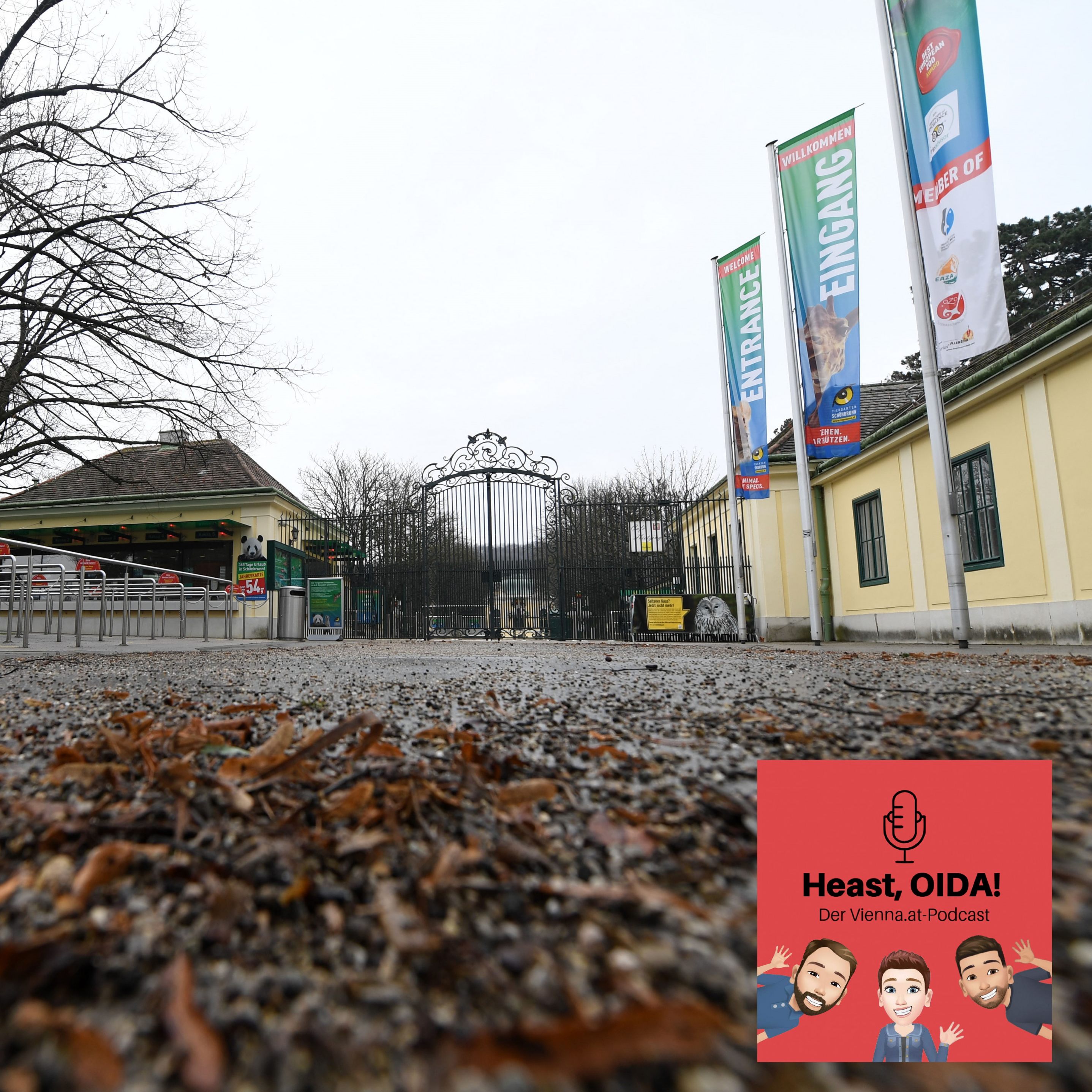 Thomas Wampula hat es bislang auf zahlreiche Jahre im Tiergarten Schönbrunn gebracht.