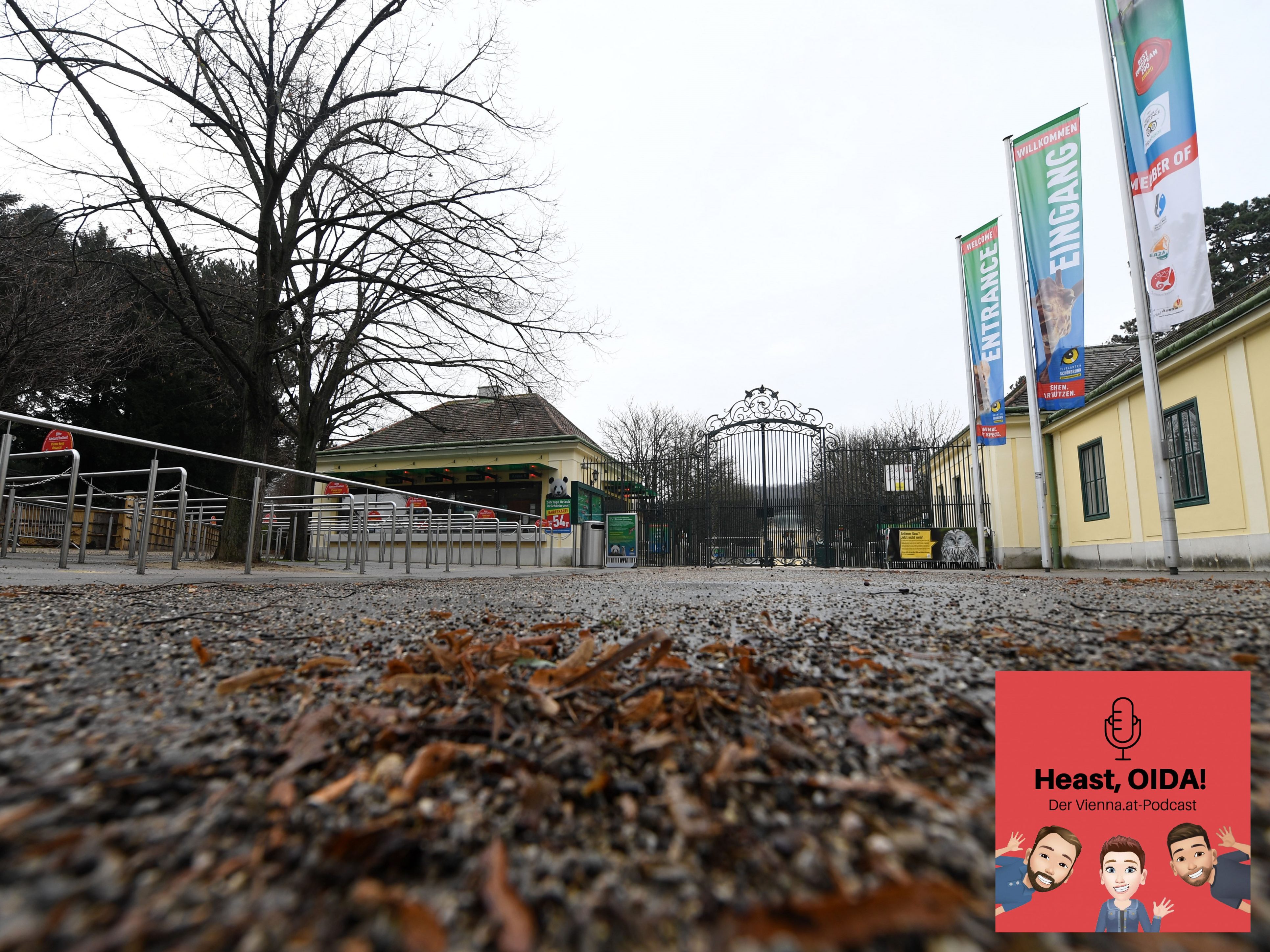 Thomas Wampula hat es bislang auf zahlreiche Jahre im Tiergarten Schönbrunn gebracht.