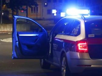 Zwei Jugendliche beraubten und verletzten einen 17-Jährigen Freitagnacht im Wiener Resslpark. Die Polizei konnte einen Täter festnehmen. Zwei Jugendliche beraubten und verletzten einen 17-Jährigen Freitagnacht im Wiener Resslpark. Die Polizei konnte einen Täter festnehmen.