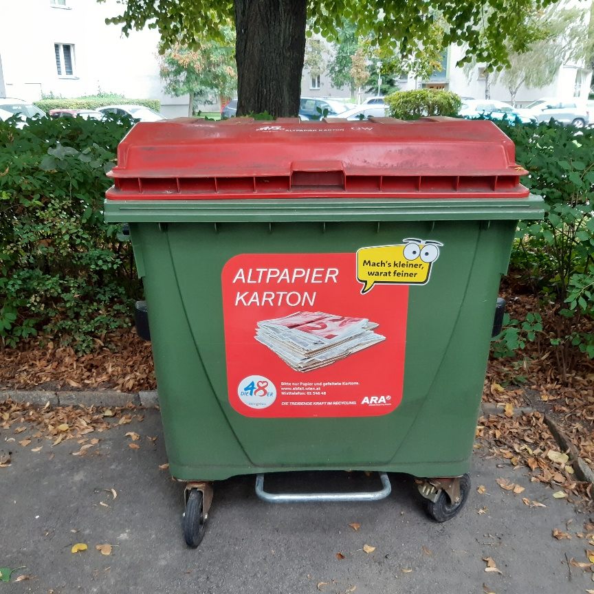 Die Katze wurde in einem Altpapier-Container gefunden.