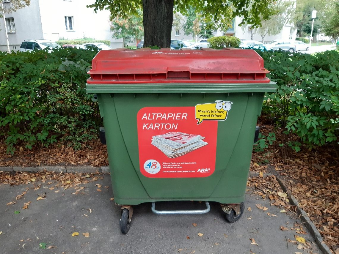 Die Katze wurde in einem Altpapier-Container gefunden. Die Katze wurde in einem Altpapier-Container gefunden.