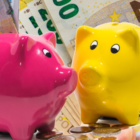 Vorarlberg wieder in Sparlaune