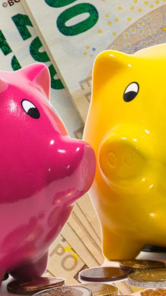 Vorarlberg wieder in Sparlaune