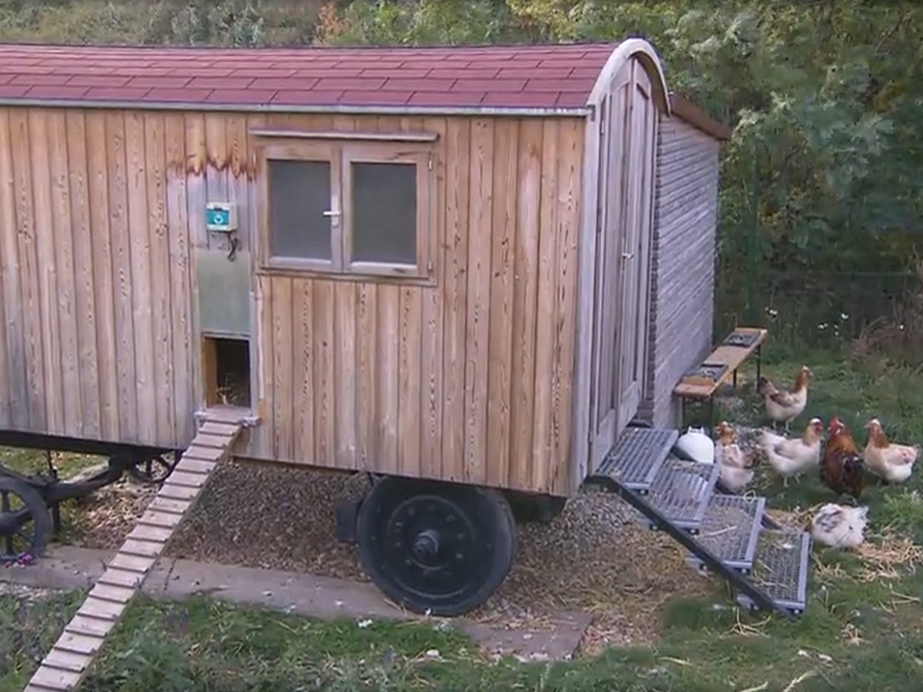 Die Hühnereier sind selbstverständlich bio. Die Hühnereier sind selbstverständlich bio.