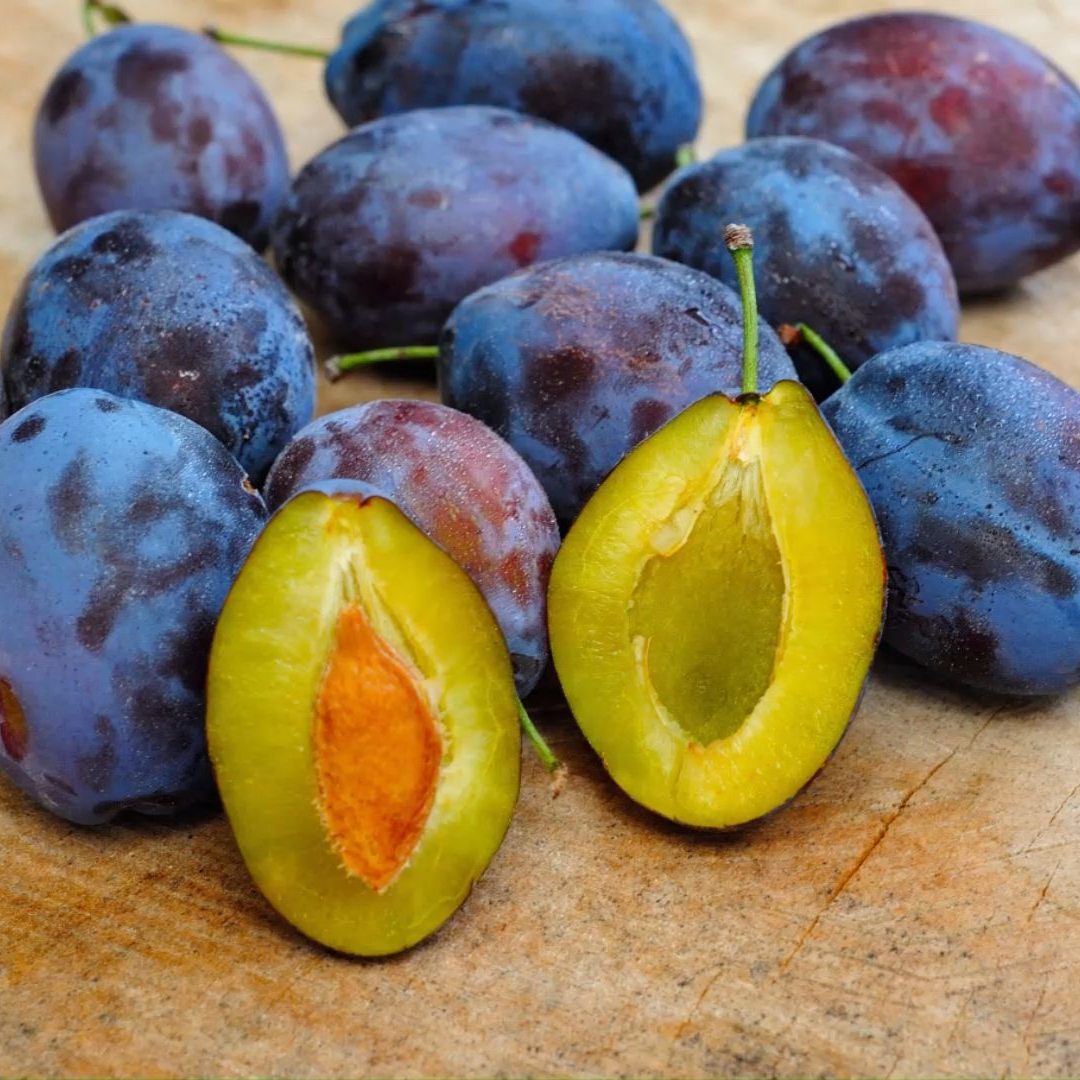 Beim Kauf von Zwetschken sollte man darauf achten, dass sie nicht zu fest sind.