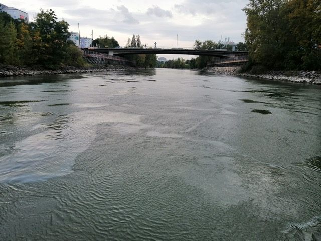 Zeugen bemerkten einen Ölfilm am Wiener Donaukanal und verständigten die Polizei. Zeugen bemerkten einen Ölfilm am Wiener Donaukanal und verständigten die Polizei.