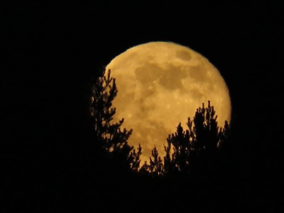 Welche Auswirkungen hat der Vollmond wirklich auf uns?