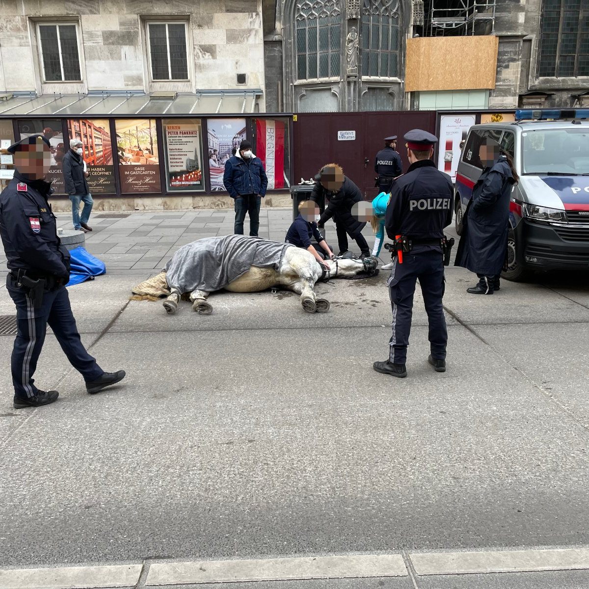 Am Wiener Stephansplatz kollabierte ein Fiakerpferd.