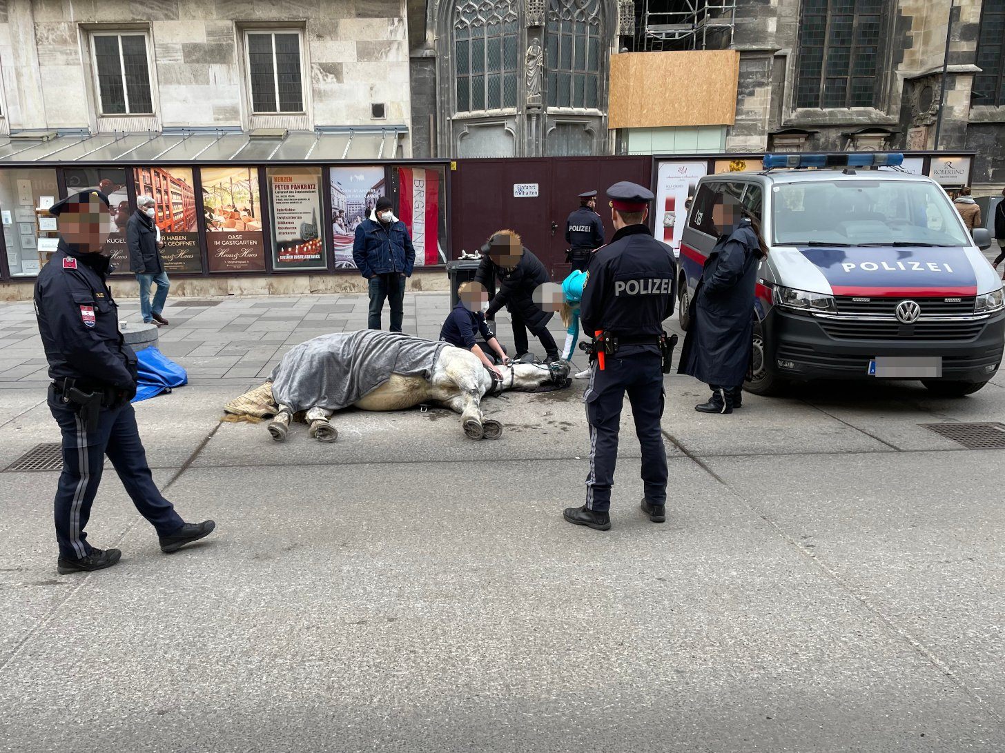 Am Wiener Stephansplatz kollabierte ein Fiakerpferd. Am Wiener Stephansplatz kollabierte ein Fiakerpferd.