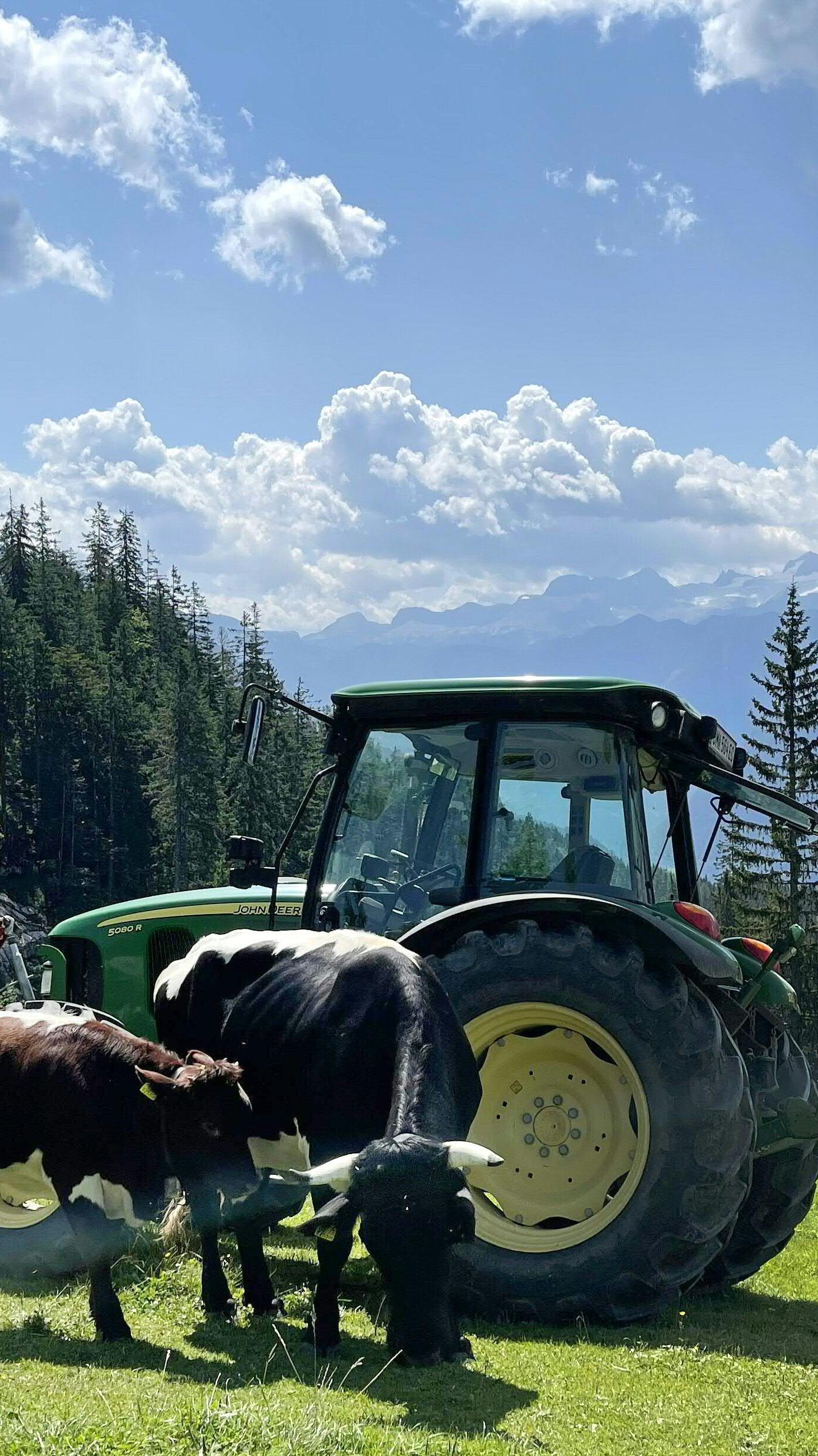 Bauern und Produzenten werden gegenüber dem Handel gestärkt