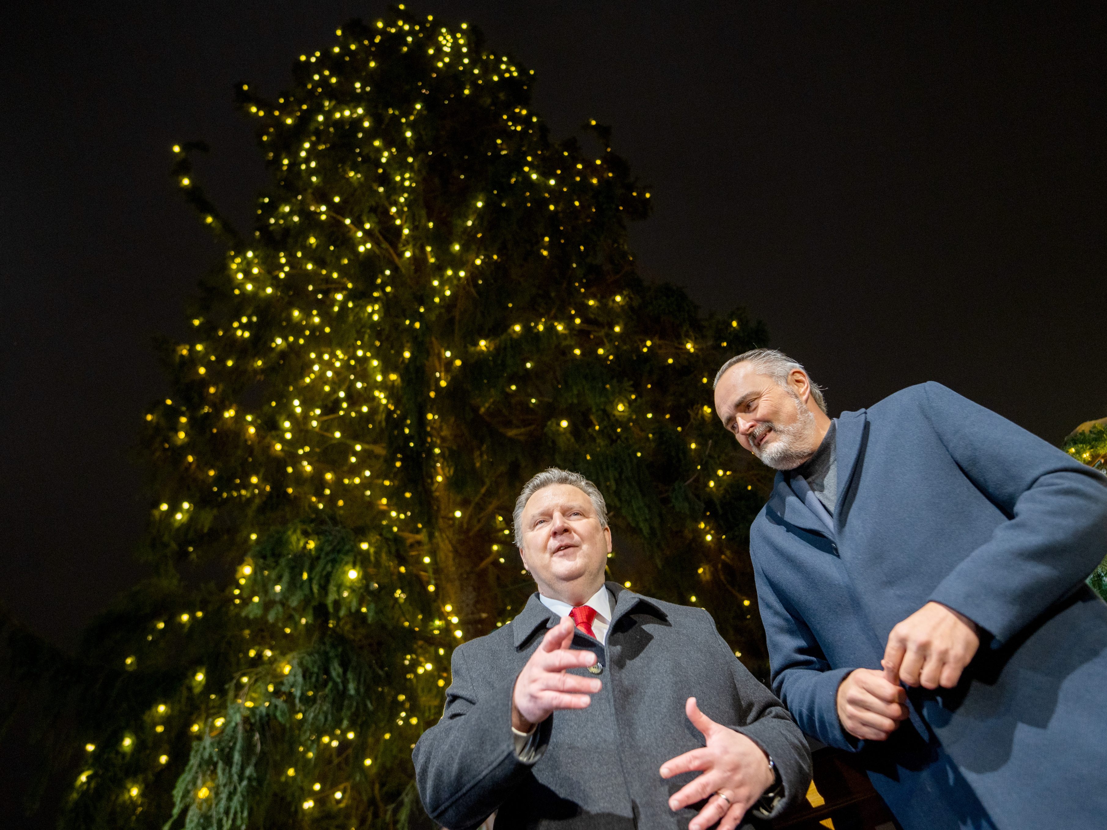Der Christbaum am Wiener Rathausplatz stammt dieses Jahr aus dem Burgenland.