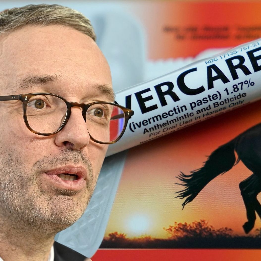 Kickl empfiehlt Ivermectin anstelle der Corona-Impfung.