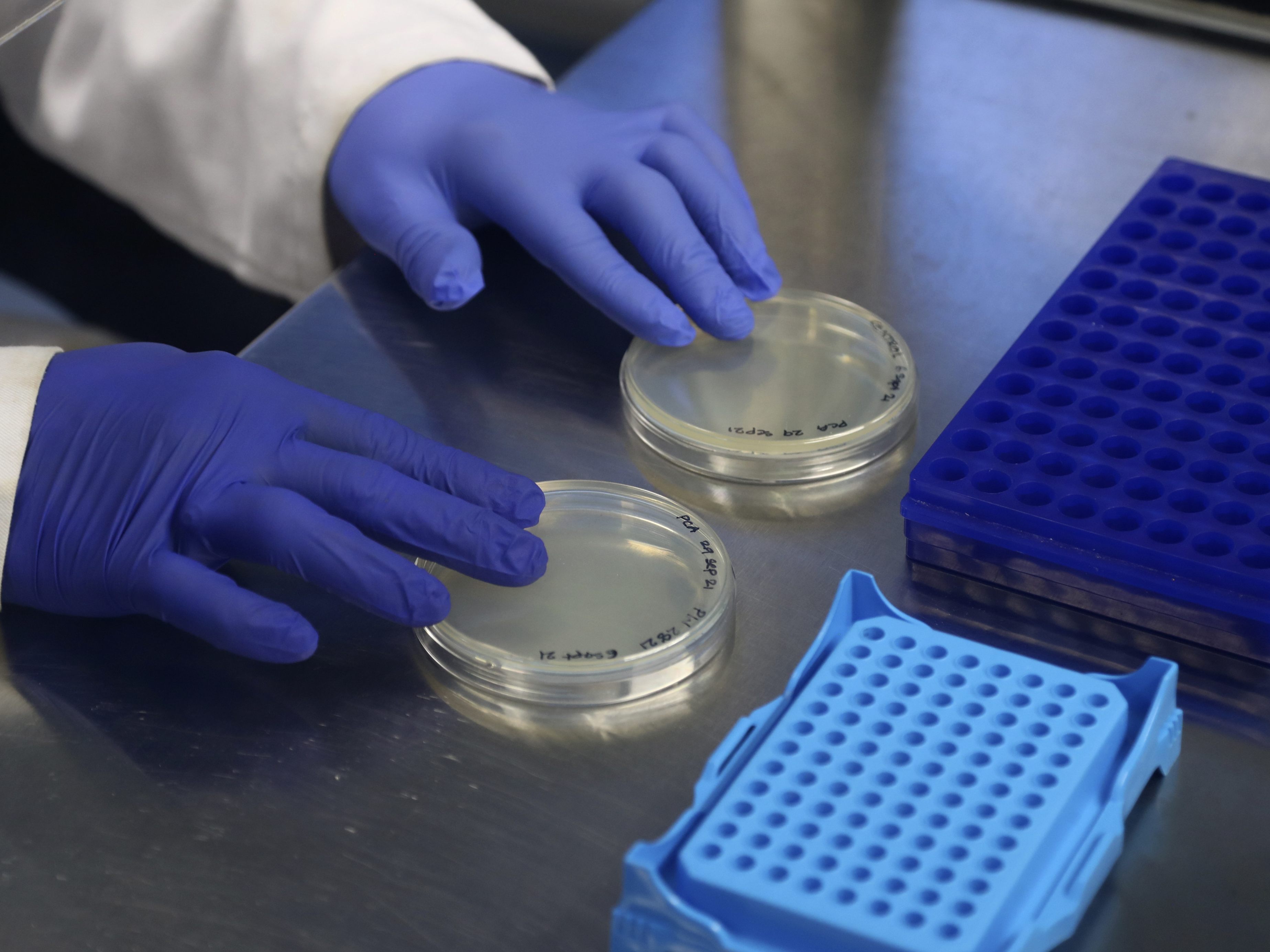 Erste Hinweise auf die neue Coronavirus-Variante Omikron sollen aus Botsuana gekommen sein.