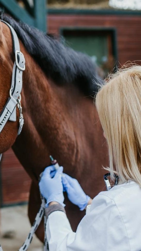 Angebliches Covid-Medikament ist giftig