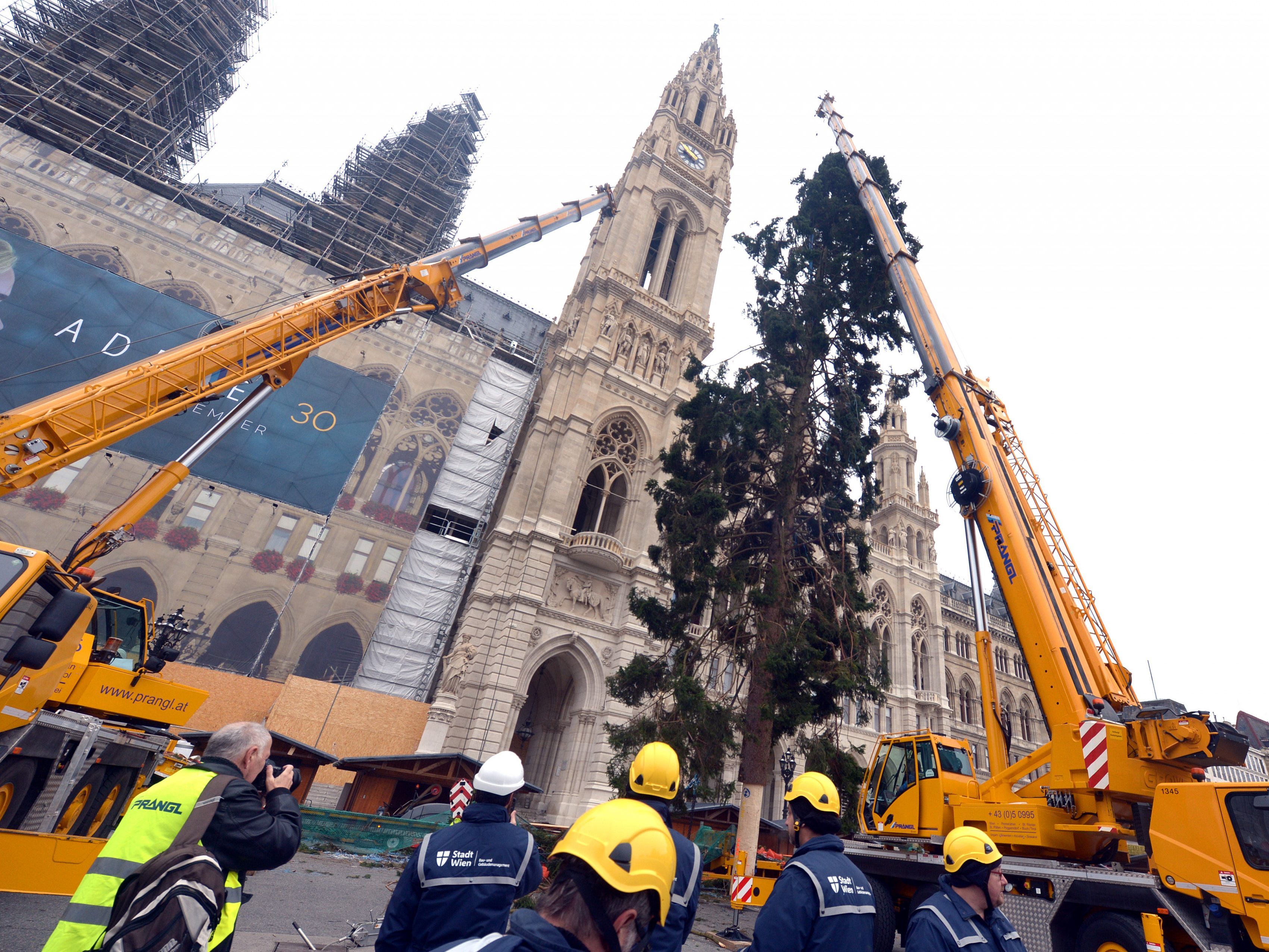 Der Christbaum am Wiener Rathausplatz steht bereits. Der Christbaum am Wiener Rathausplatz steht bereits.