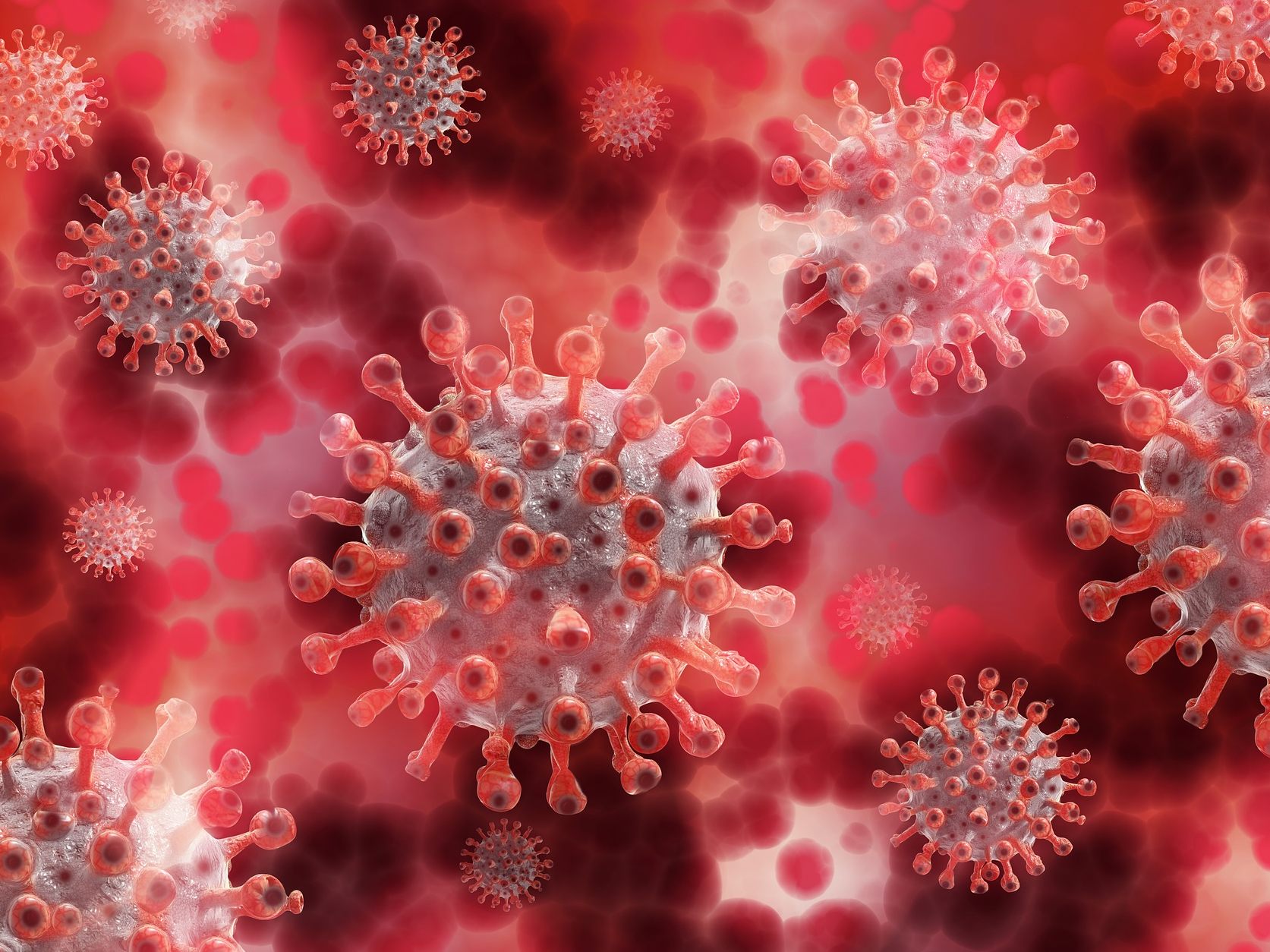 Die Infektionsquelle steht bei der Mehrheit der Corona-Fälle nicht fest, wie eine Epidemiologische Abklärung der AGES zeigt. Die Infektionsquelle steht bei der Mehrheit der Corona-Fälle nicht fest, wie eine Epidemiologische Abklärung der AGES zeigt.
