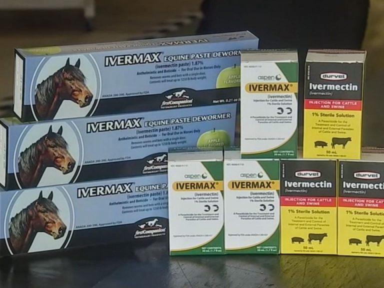 Ivermectin ist für Pferde gedacht - wenn man es als Mensch einnimmt, wird es unangenehm Ivermectin ist für Pferde gedacht - wenn man es als Mensch einnimmt, wird es unangenehm