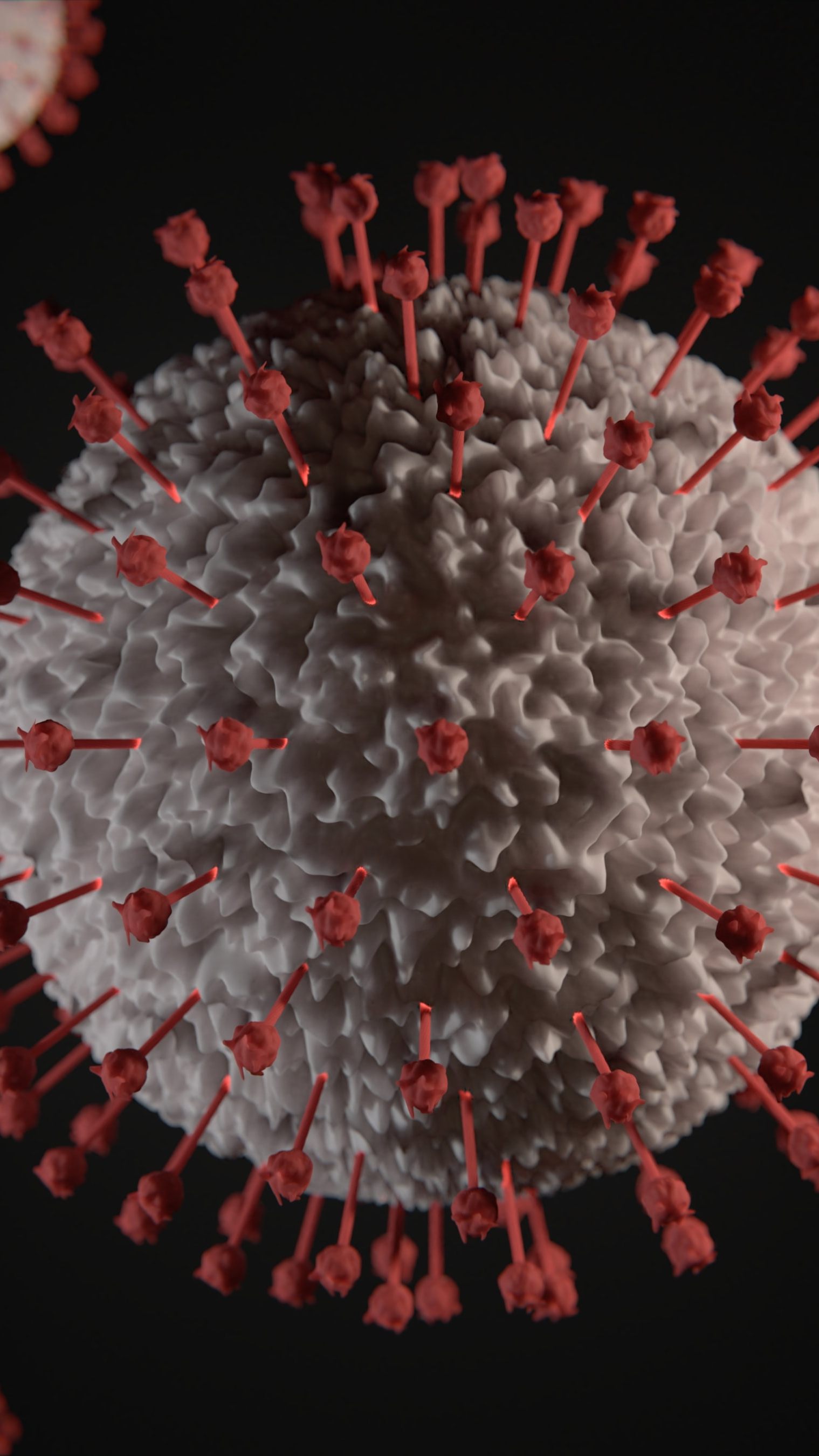 Die bisher komplexeste Virusart