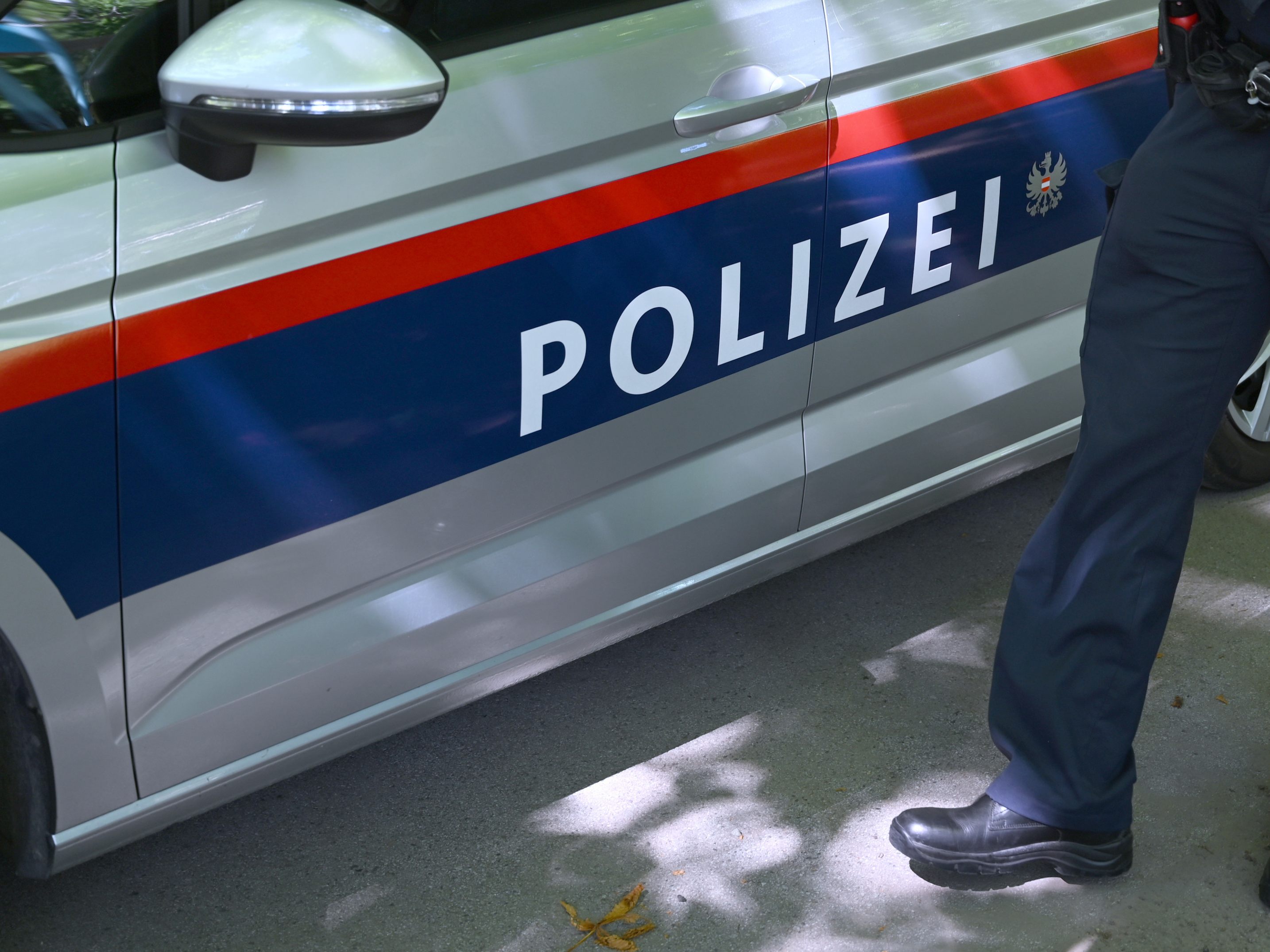 Die Wiener Polizei empfiehlt: Wenn Sie von vermeintlichen Polizisten angerufen und aufgefordert werden Bargeld herzugeben, legen Sie auf und wählen Sie den Polizeinotruf 133.