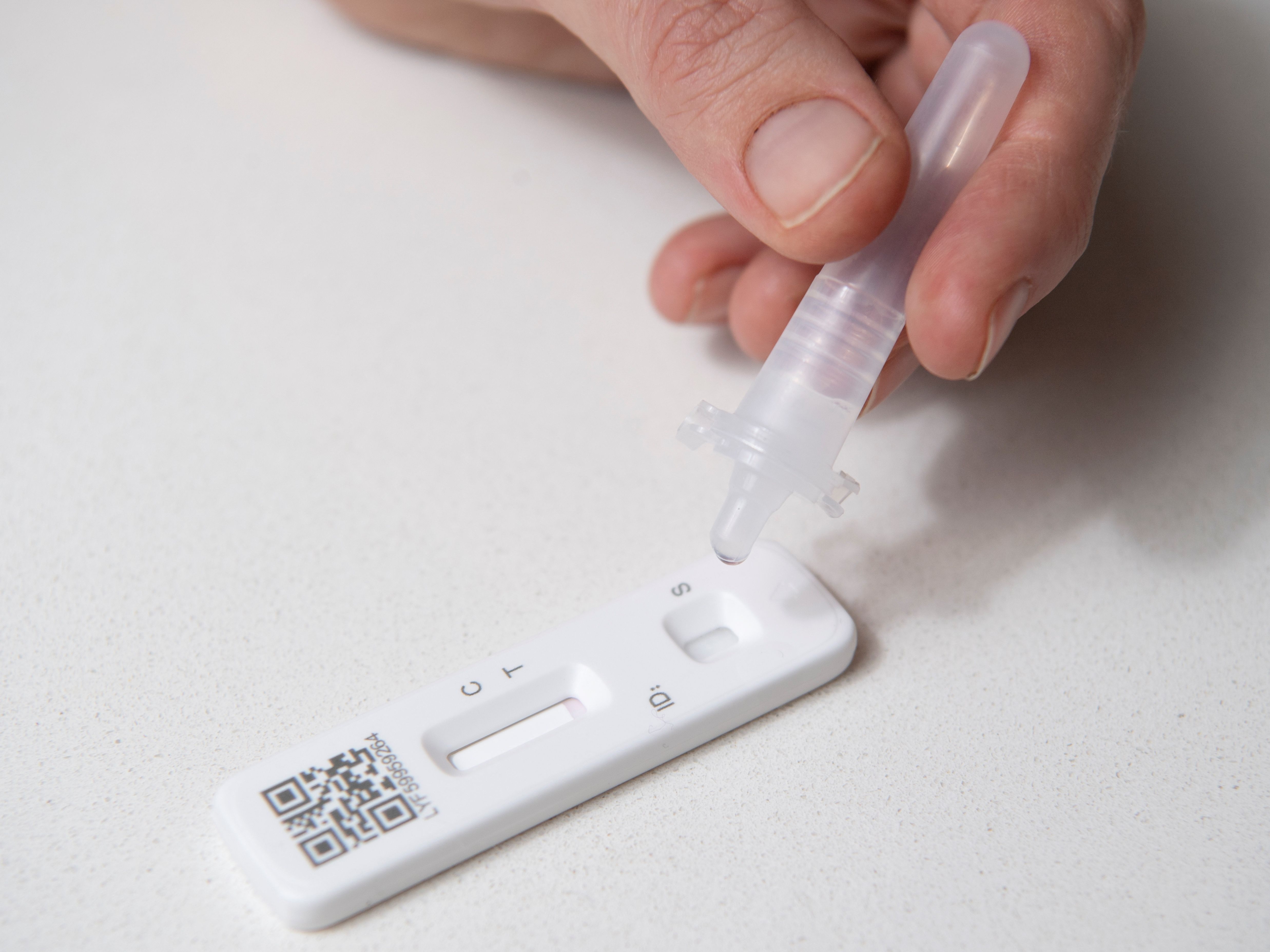 Ein Paar aus dem Bezirk Melk erschummelte sich online negative Covid-Zertifikate.