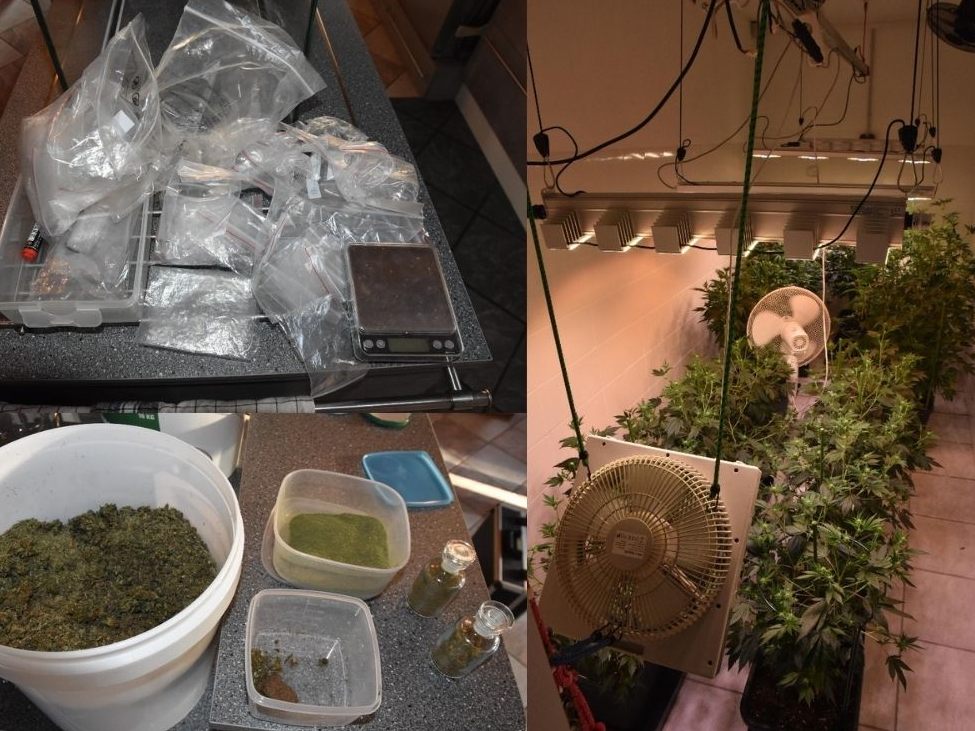 Ein Wiener zog in seinem Keller der Brünner Straße 16 Cannabispflanzen.