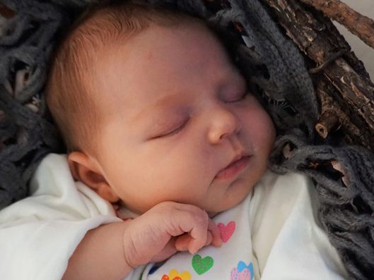 Die Vol.at - Redaktion grauliert recht herzlich.