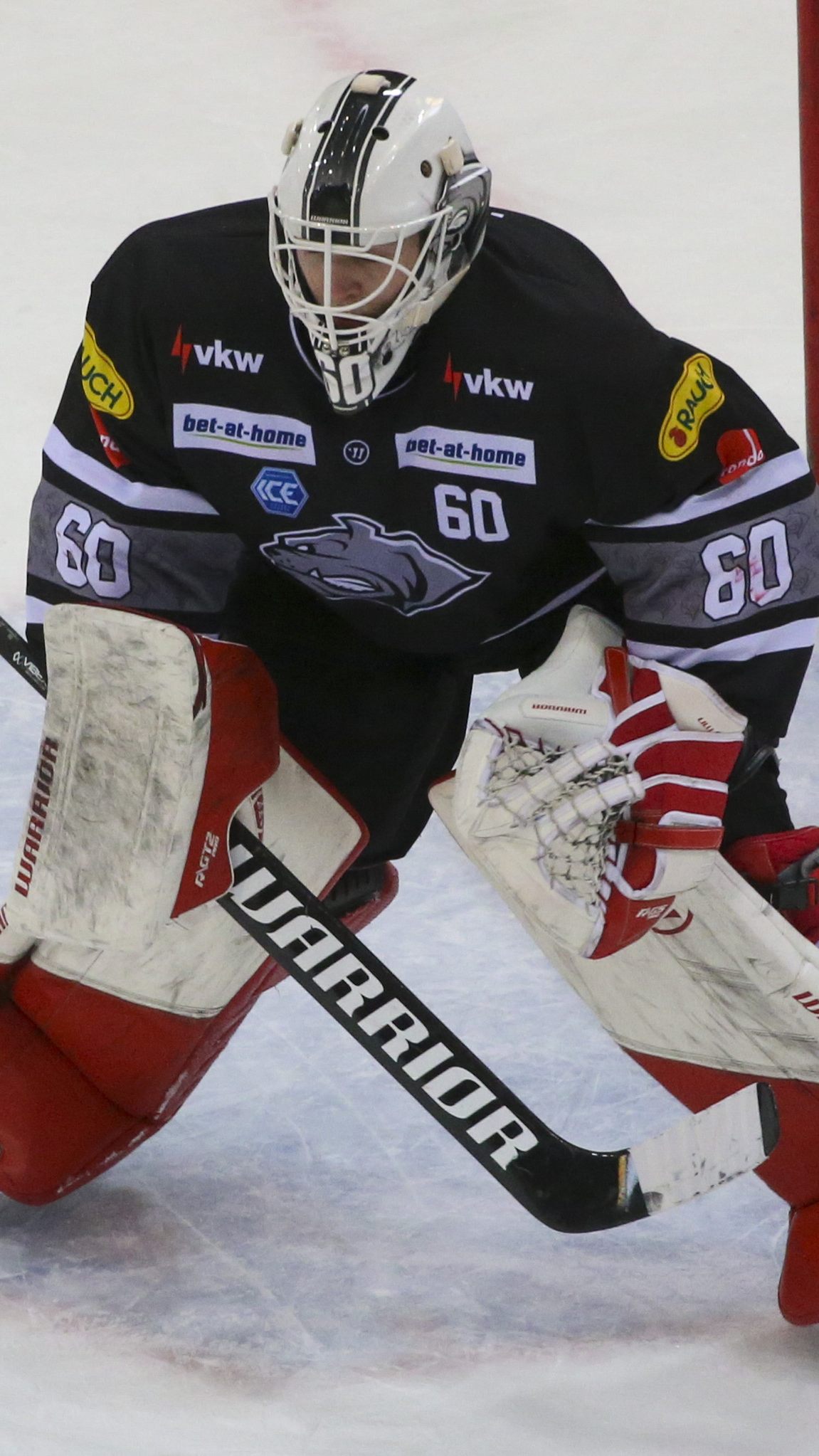 Nichts zu holen gab es heute für die Bulldogs in Villach.