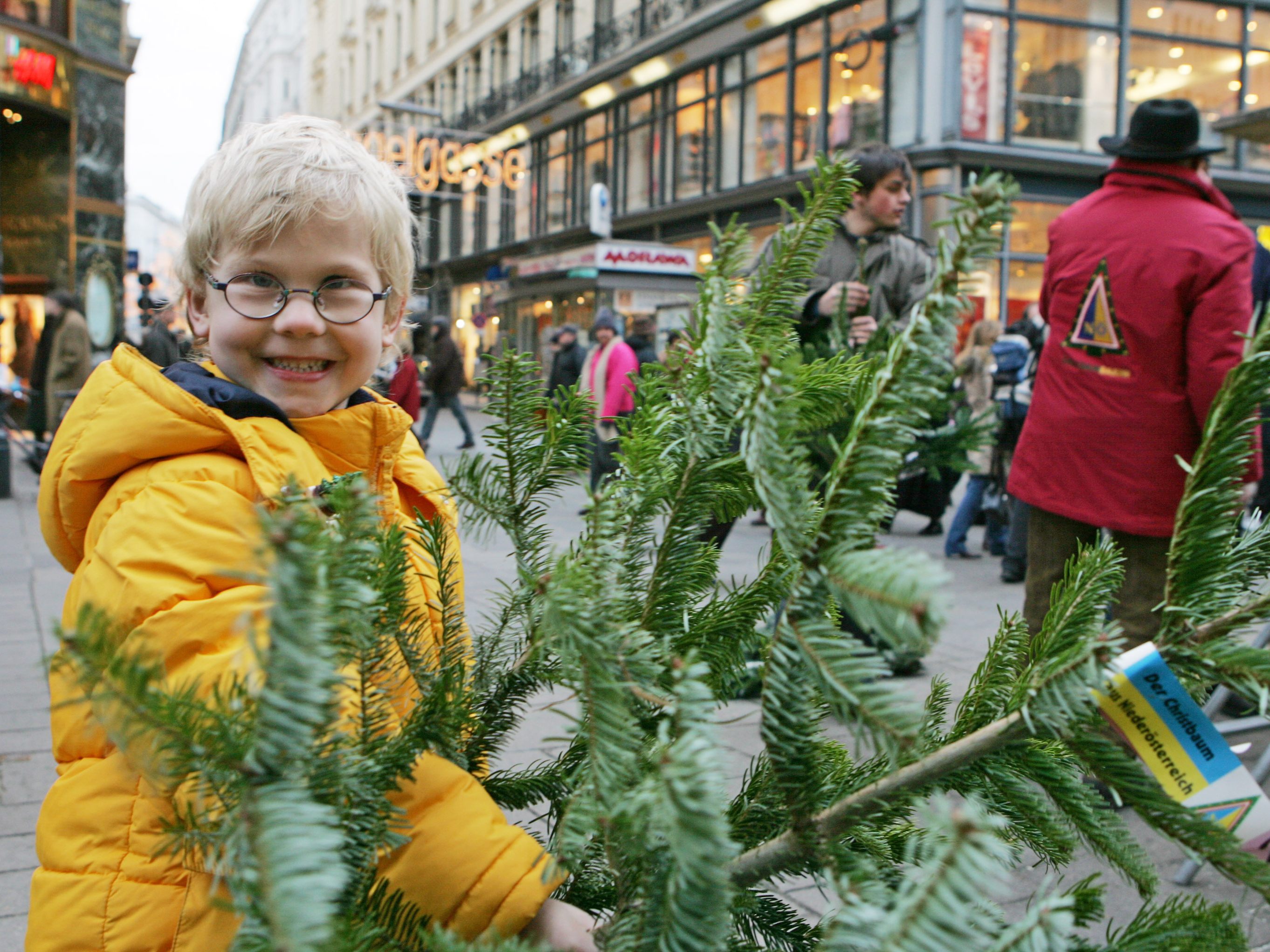 Am Sonntag öffnen die Christbaumstände in Wien. Am Sonntag öffnen die Christbaumstände in Wien.
