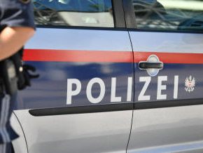 Die Polizei konnte drei mutmaßliche Einbrecher in Wien-Favoriten schnappen. Die Polizei konnte drei mutmaßliche Einbrecher in Wien-Favoriten schnappen.