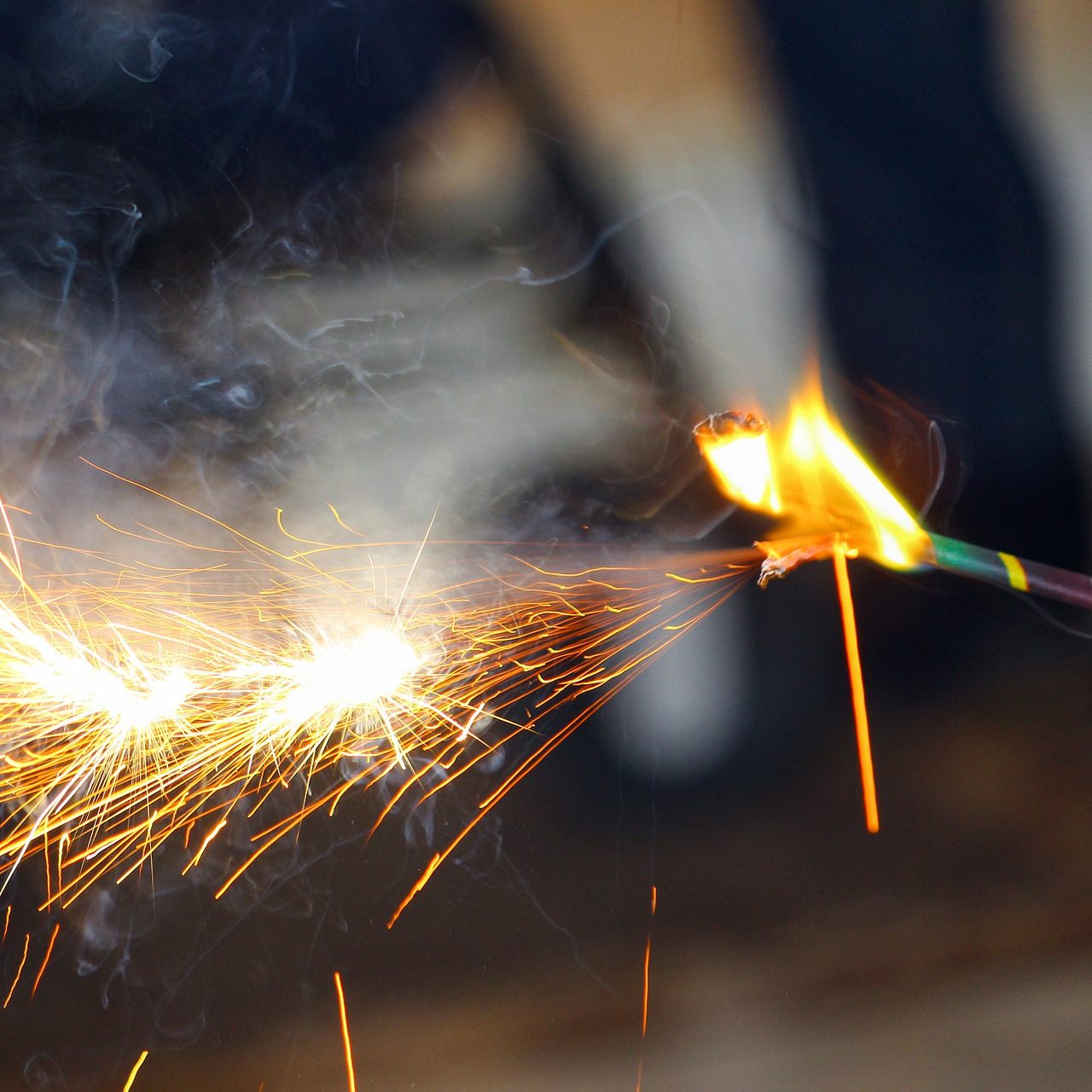 Feuerwerk und Kracher sind eine Belastung für das Tierreich.