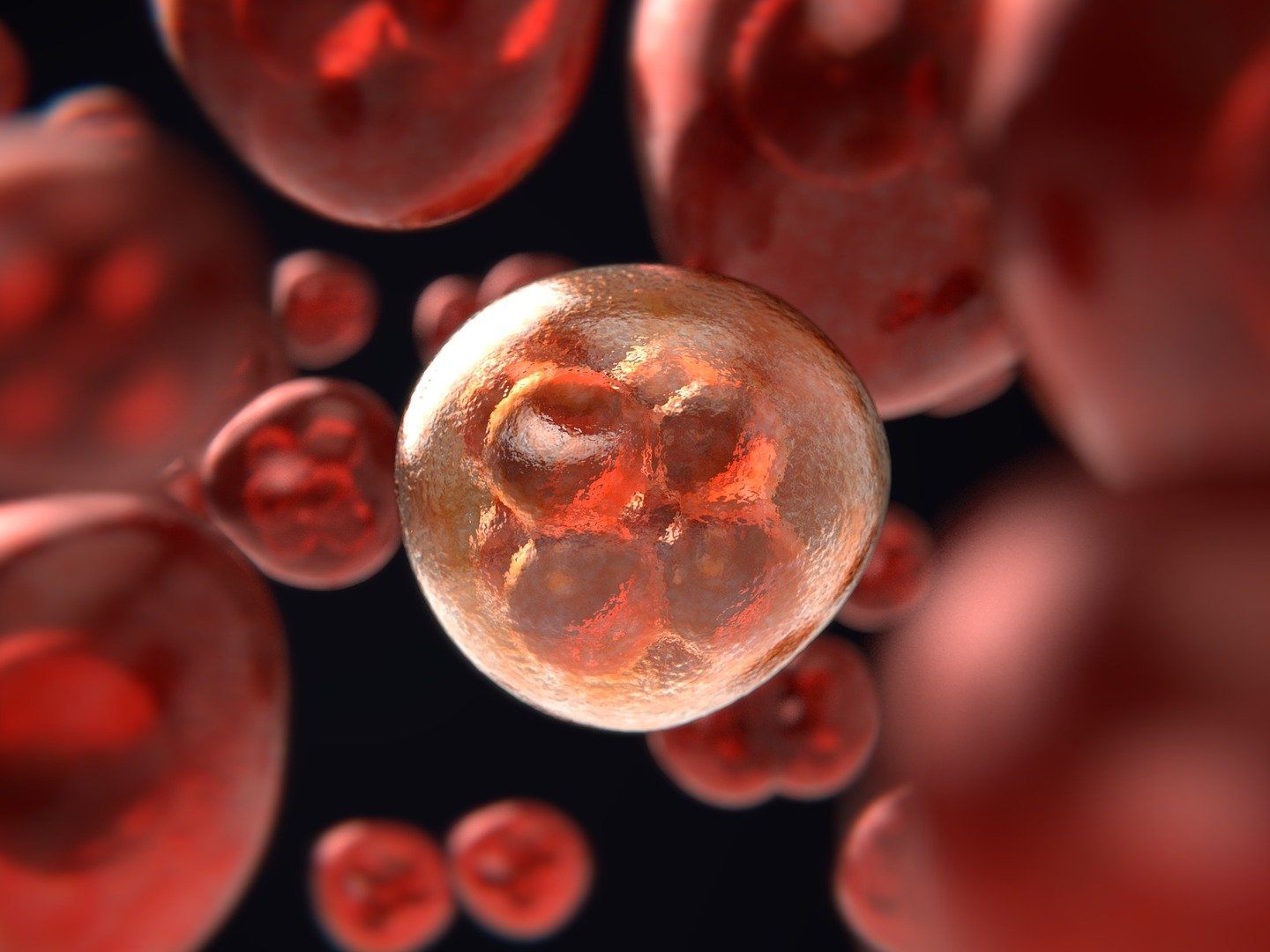 Während der Höhepunkte der Pandemie hat sich der Zugang zur Krebsdiagnose verzögert. Während der Höhepunkte der Pandemie hat sich der Zugang zur Krebsdiagnose verzögert.